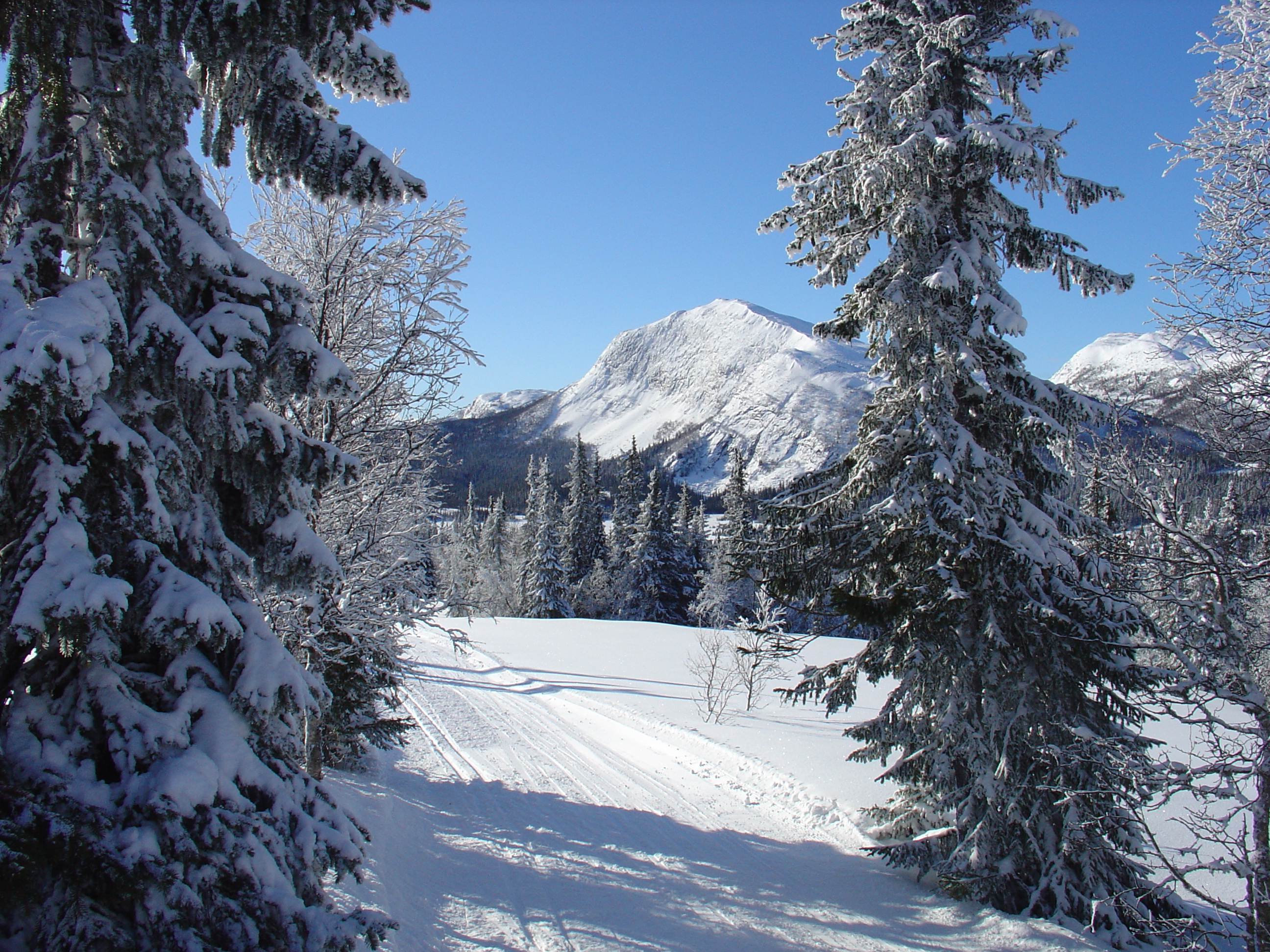 Eggedal, mountain village in Norway