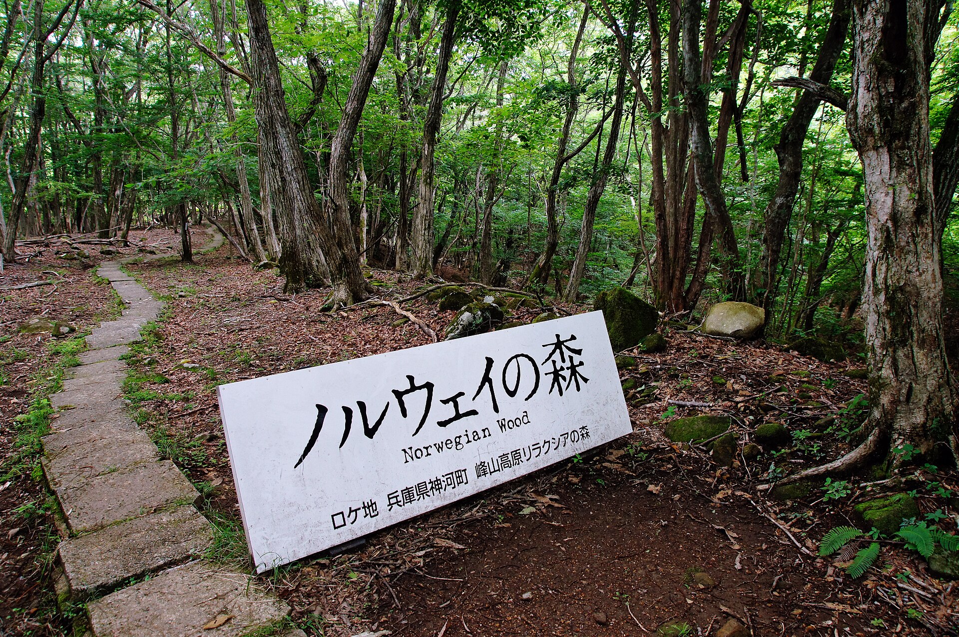 Mineyama Kogen Resort White Peak, mountain village in Japan