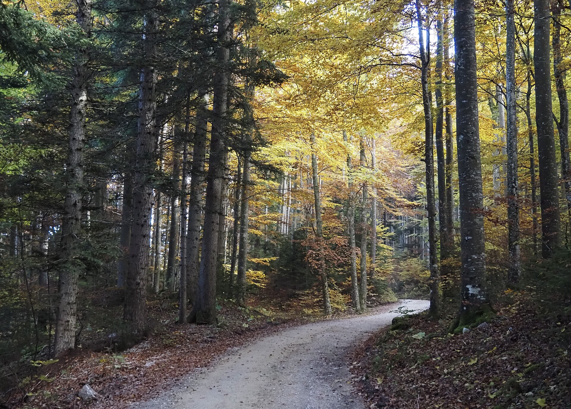 Oberbalmberg ski area