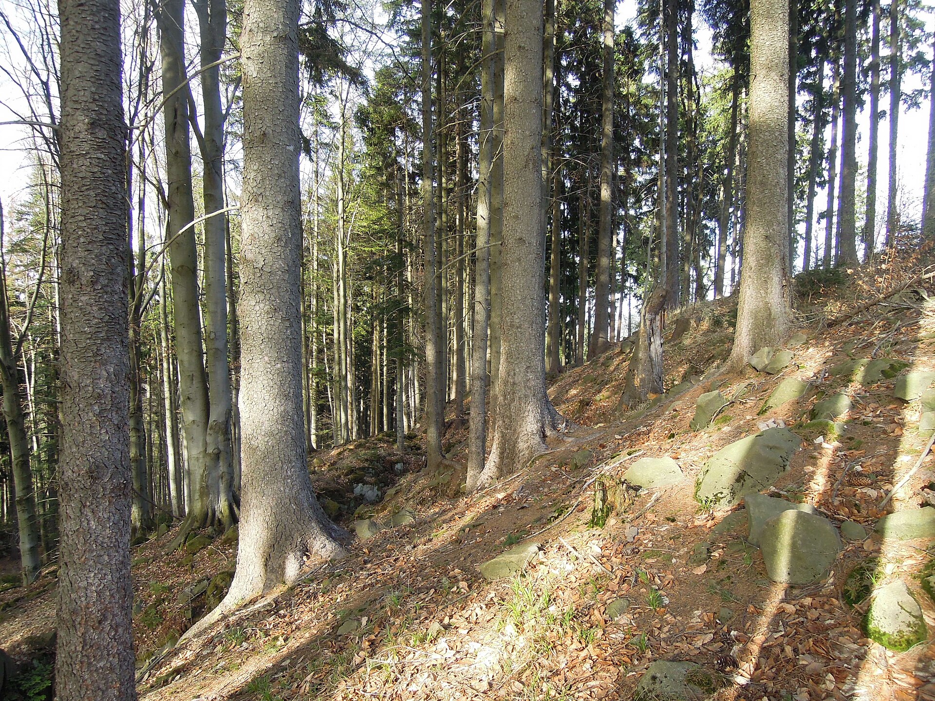 Lyžařský areál Lužná — Alpine village in Czechia