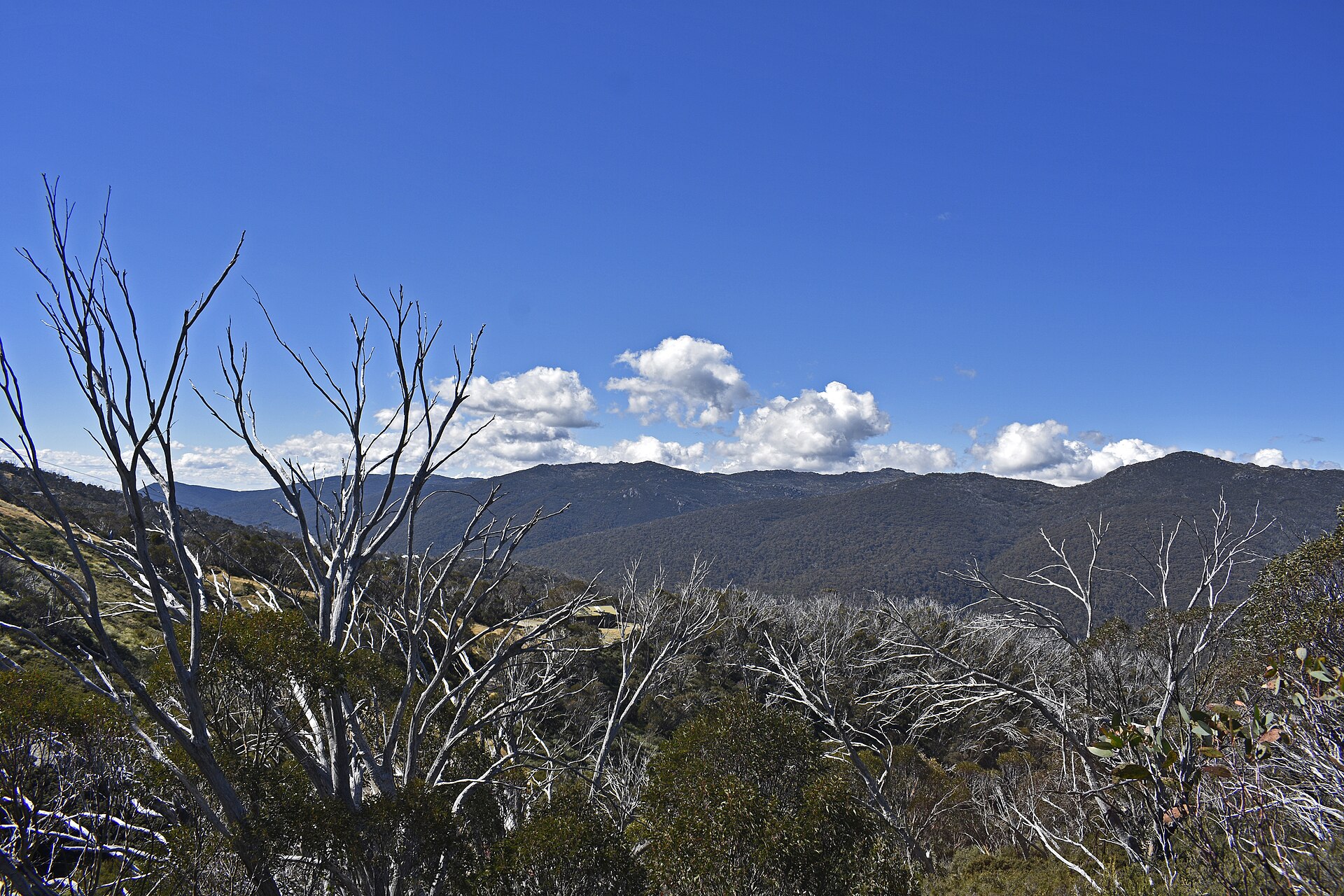 Thredbo Resort — Alpine village in Australia