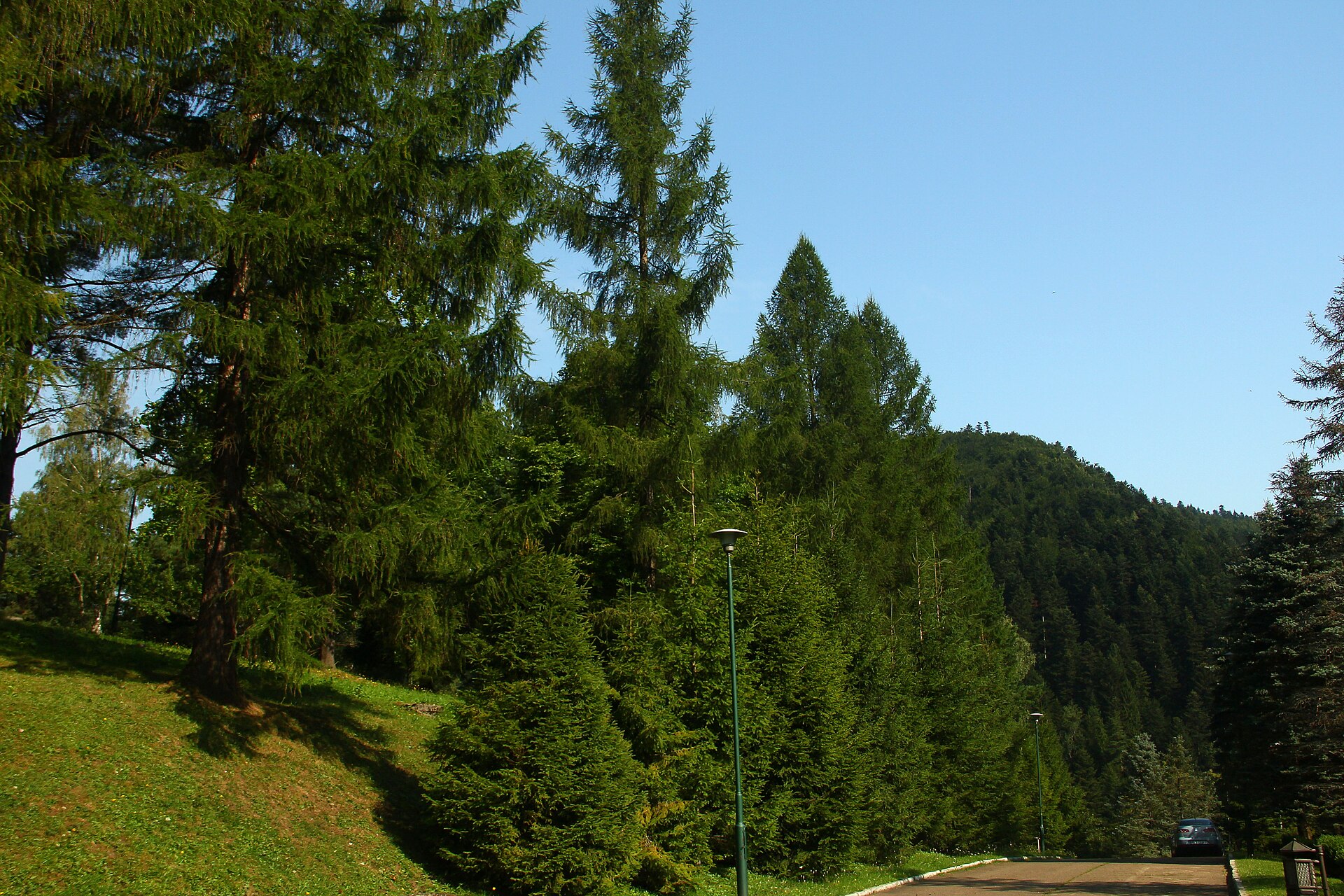 Osrodek Bystre — Alpine village in Poland