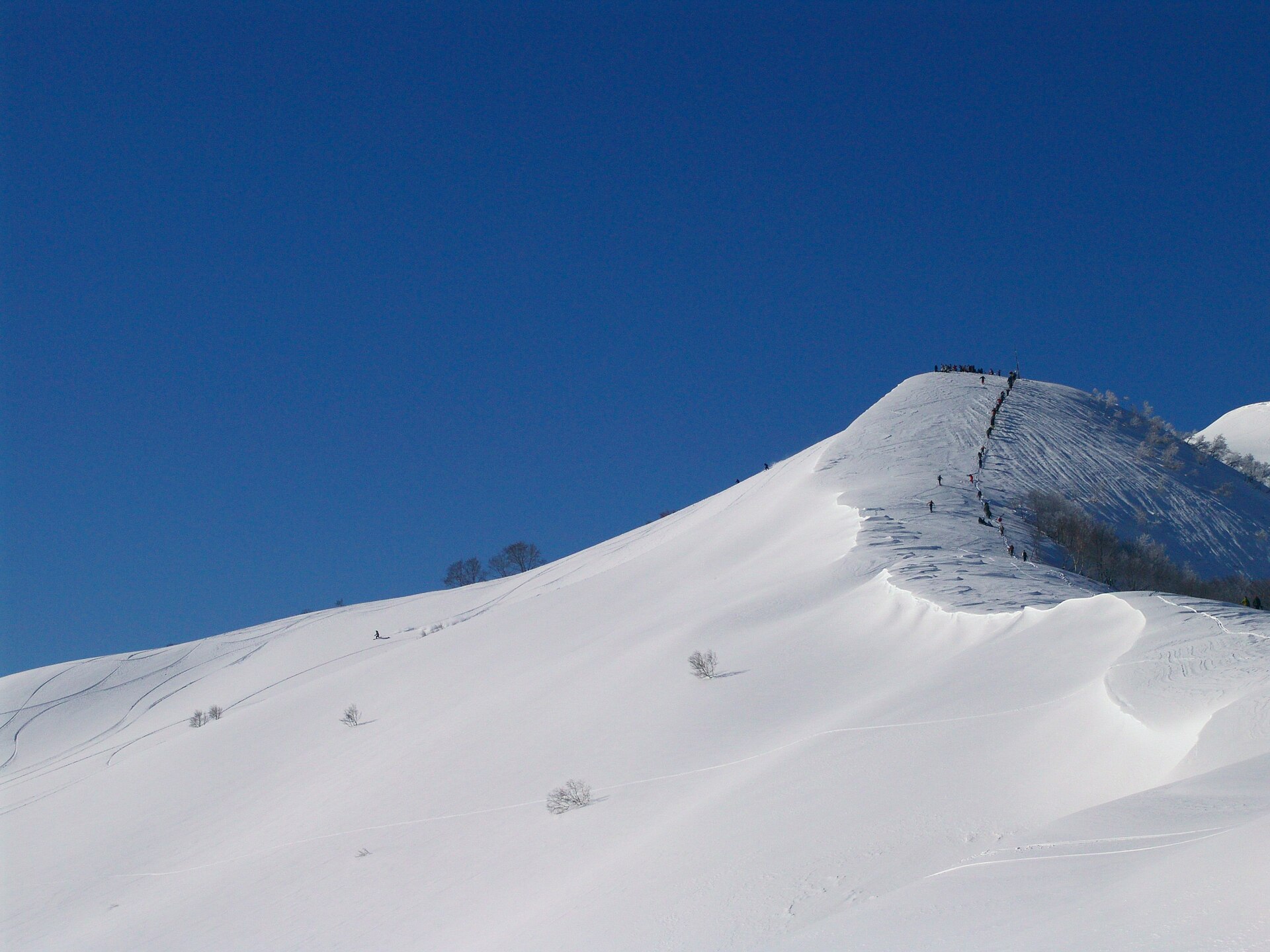 アライスノーリゾート, ARAI SNOW RESORT ski area