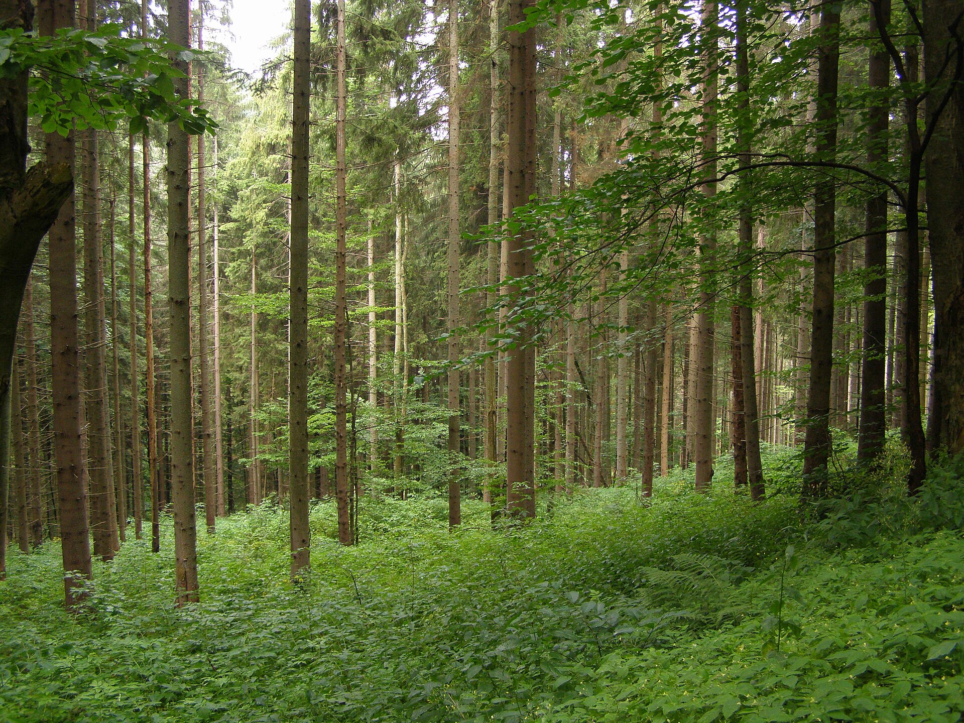 Tisovec - Bánovo — Alpine village in Slovakia