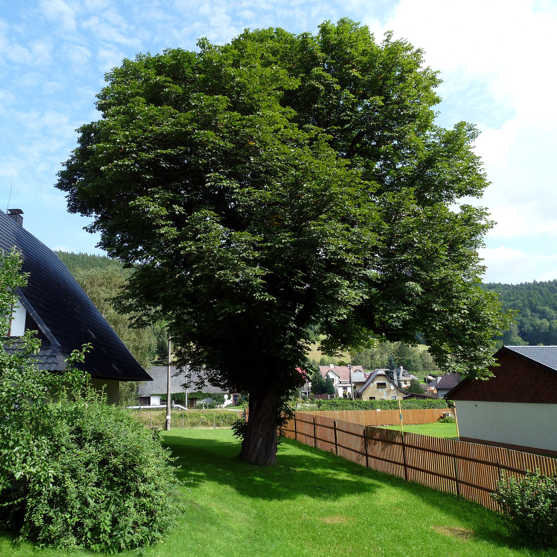 Lázeňský vrch, mountain village in Czechia
