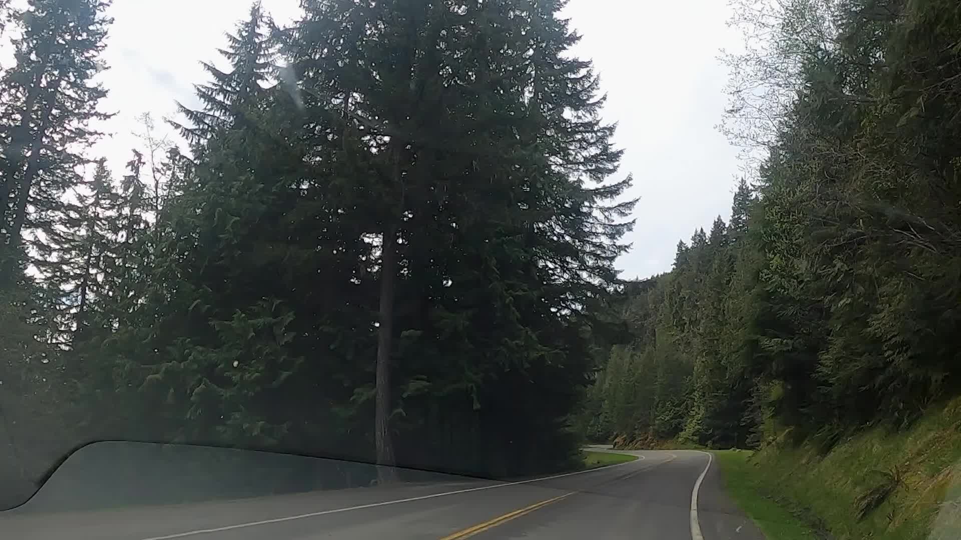 Hurricane Ridge ski area