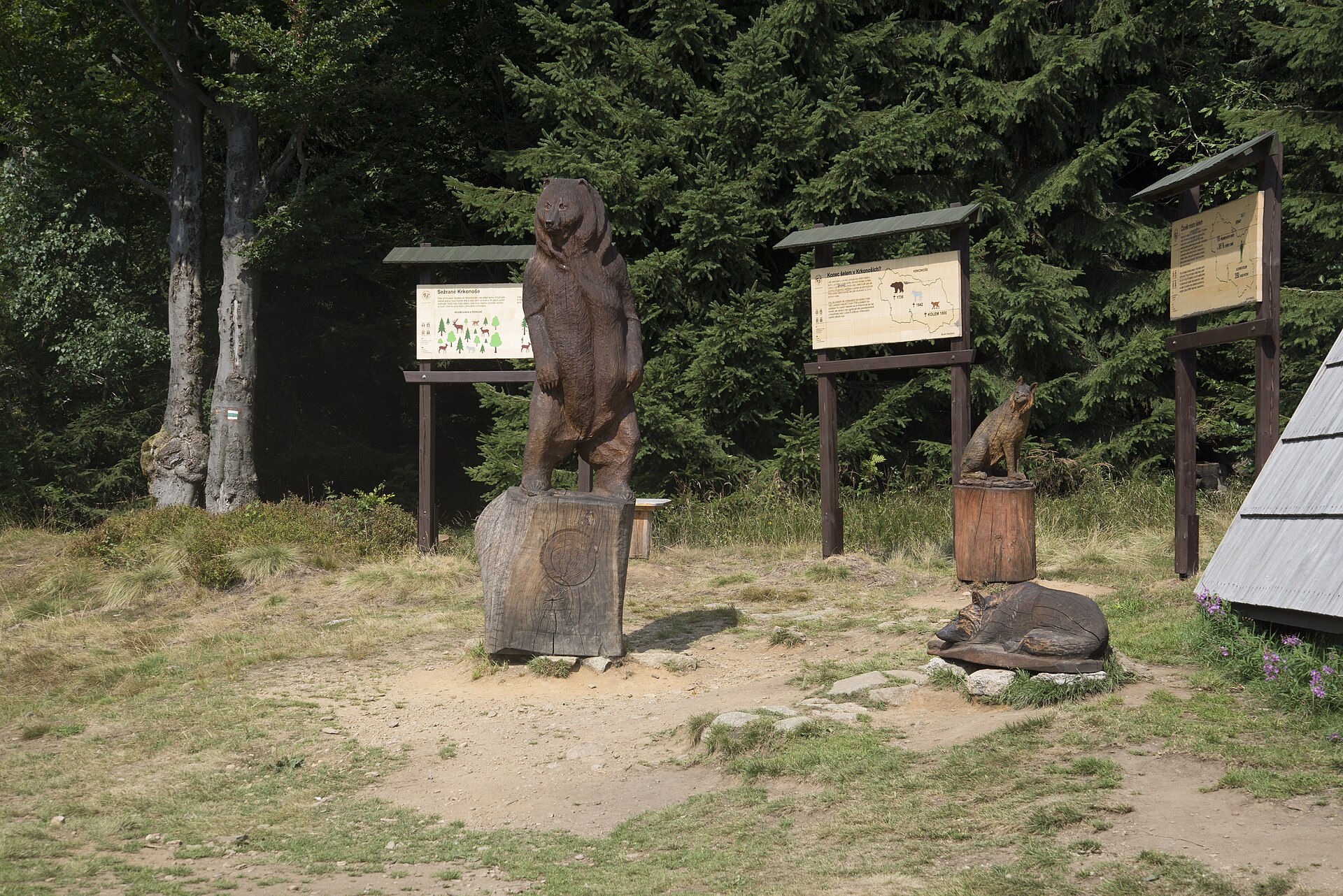 Skiareál Horní Domky - Lysá Hora — Alpine village in Czechia