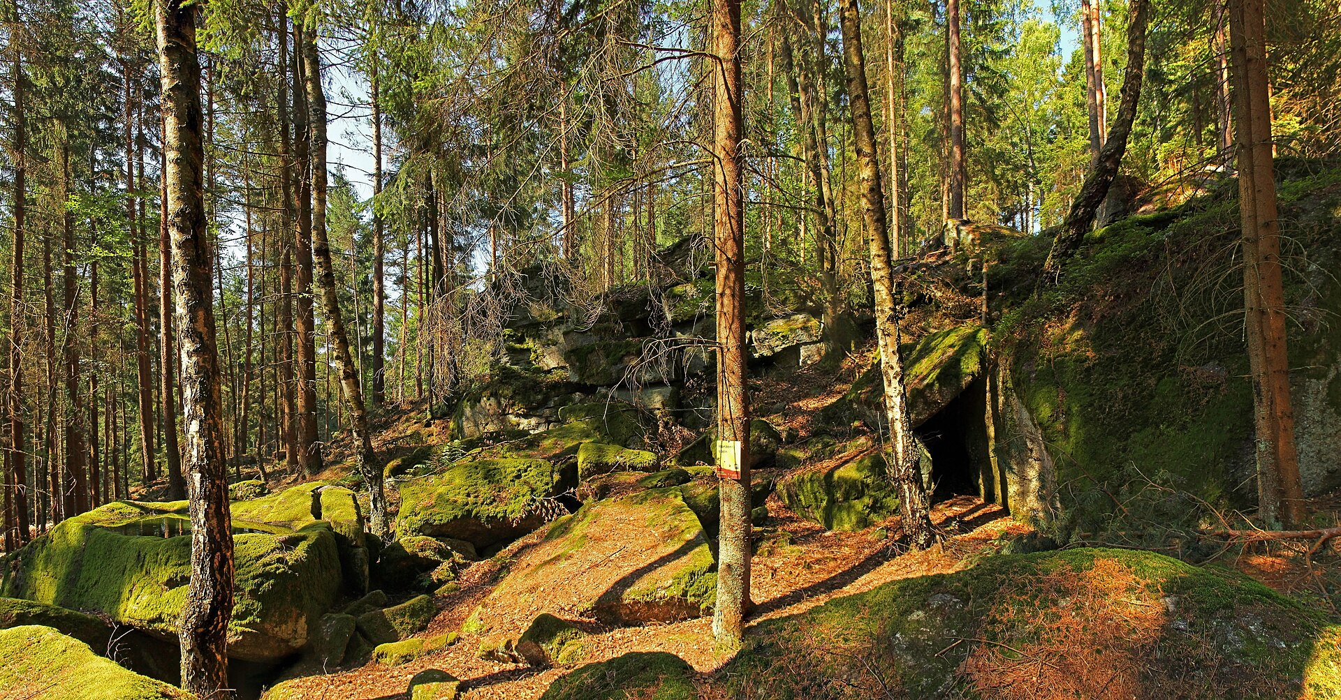 Schigebiet Arralifte Harmanschlag — Alpine village in Austria