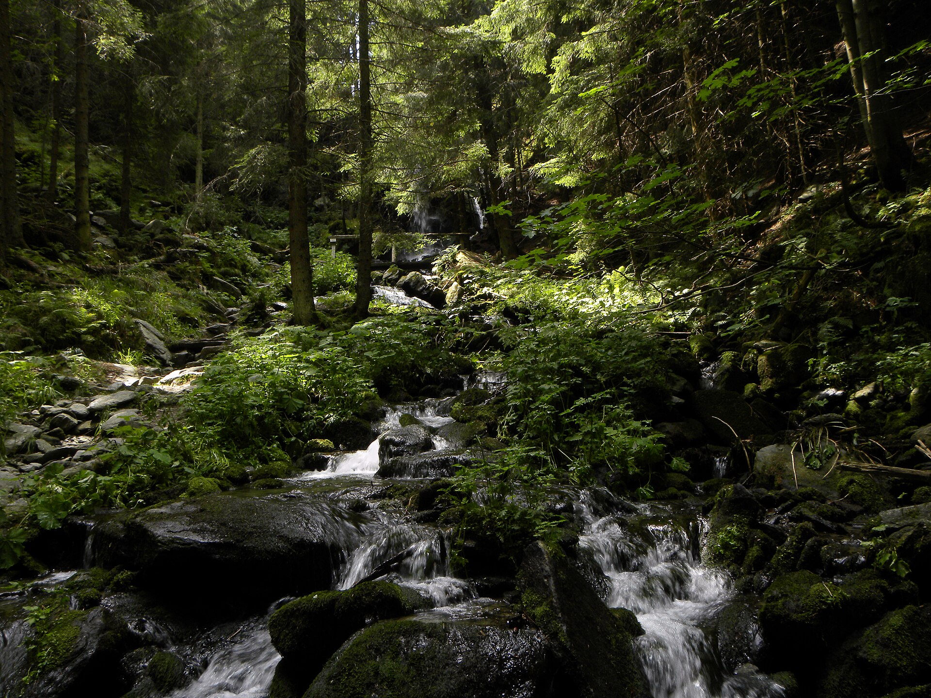 Arabichl – Kirchberg am Wechsel — Alpine village in Austria