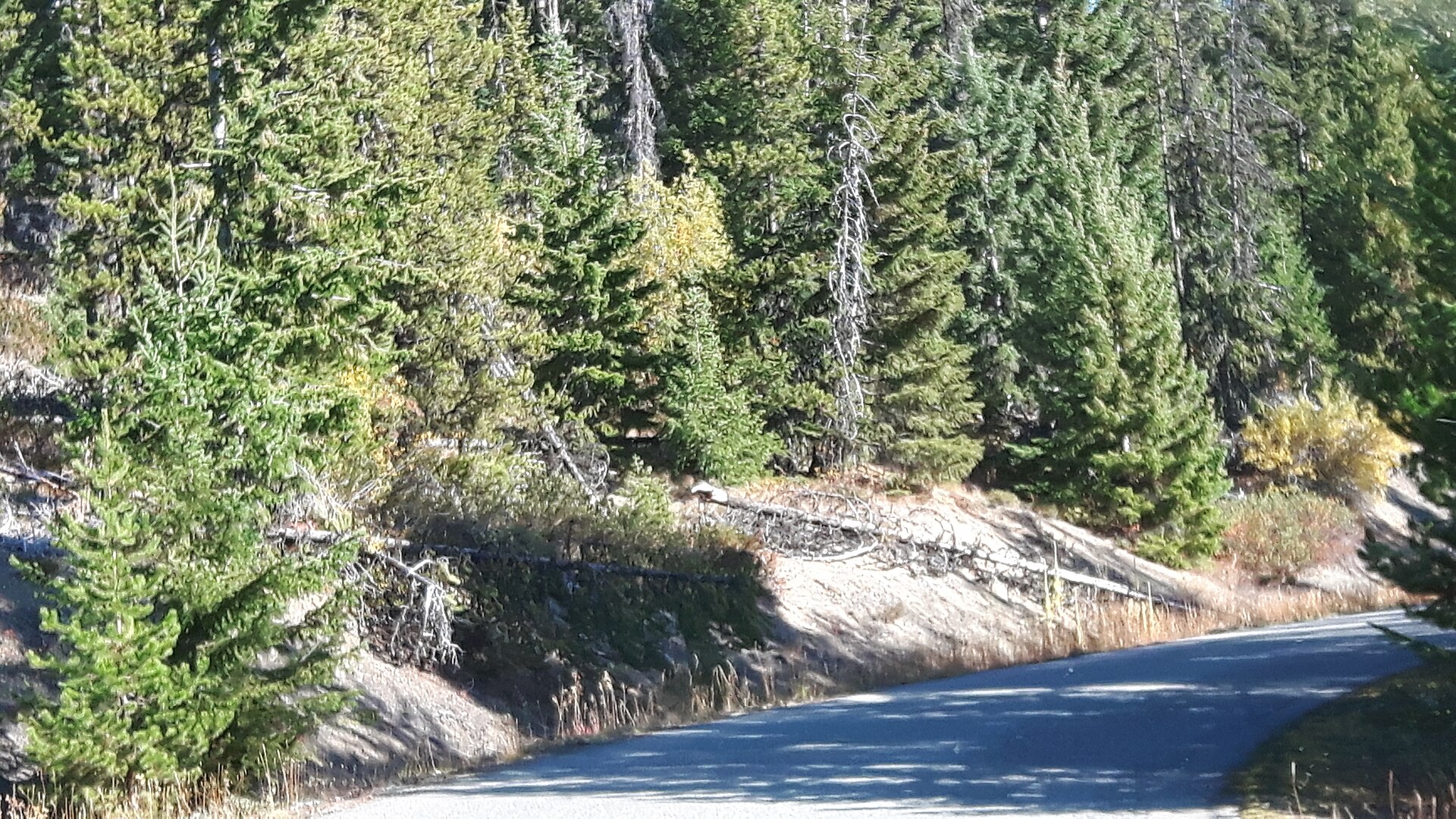 Manning Park Resort, mountain village in Canada