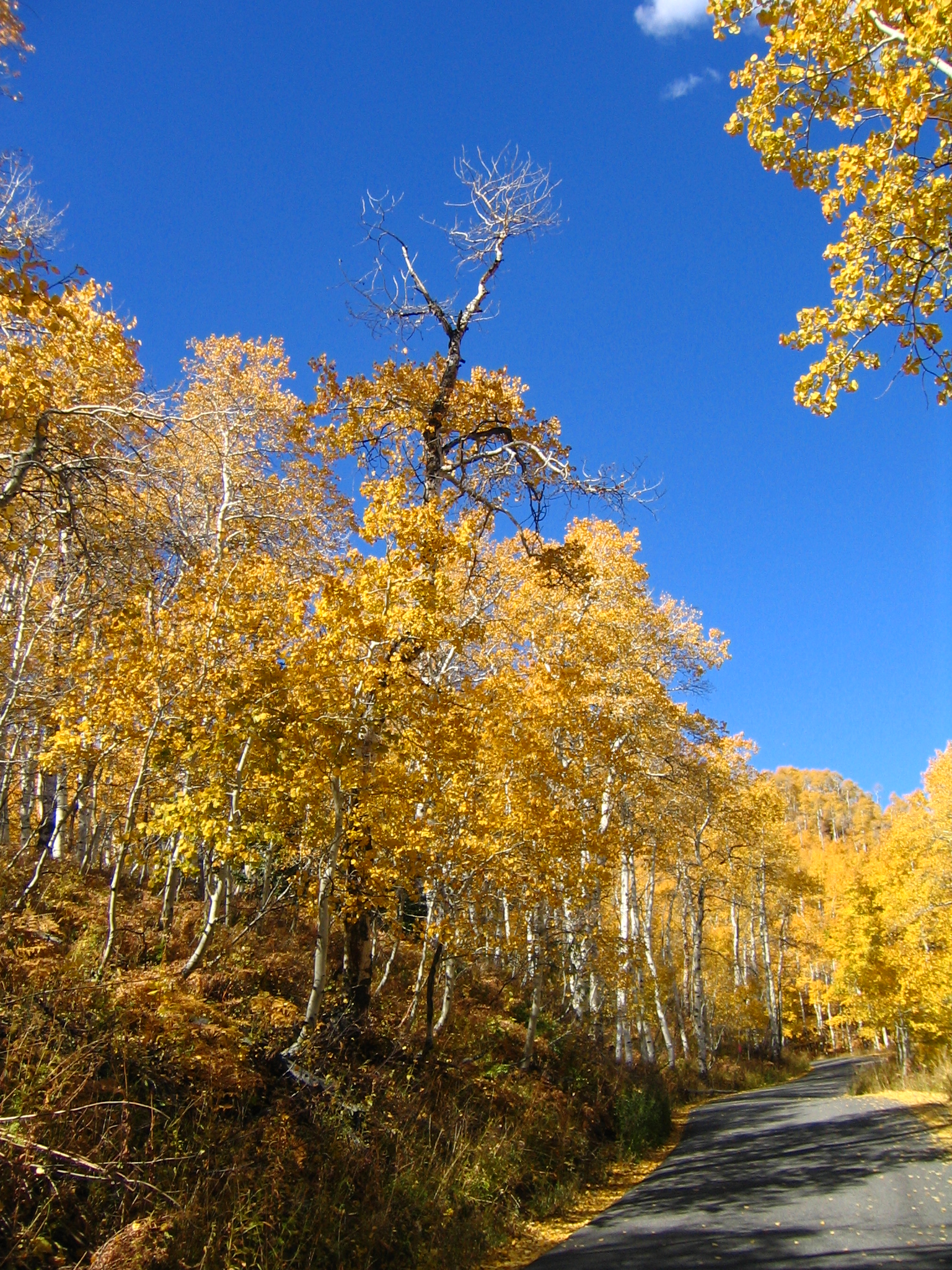 Sundance Resort — Alpine village in United States