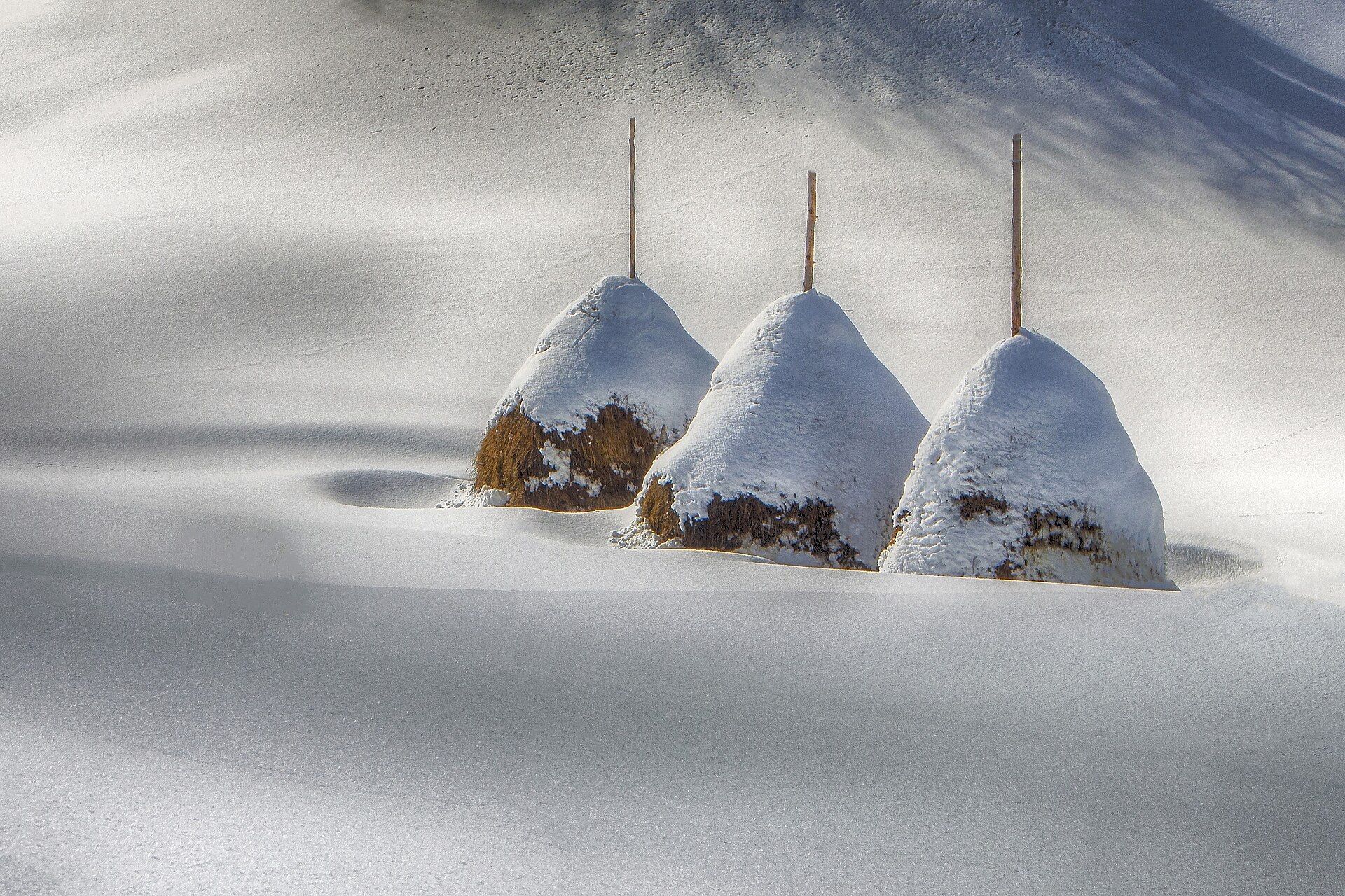 Iver ski resort, mountain village in Serbia