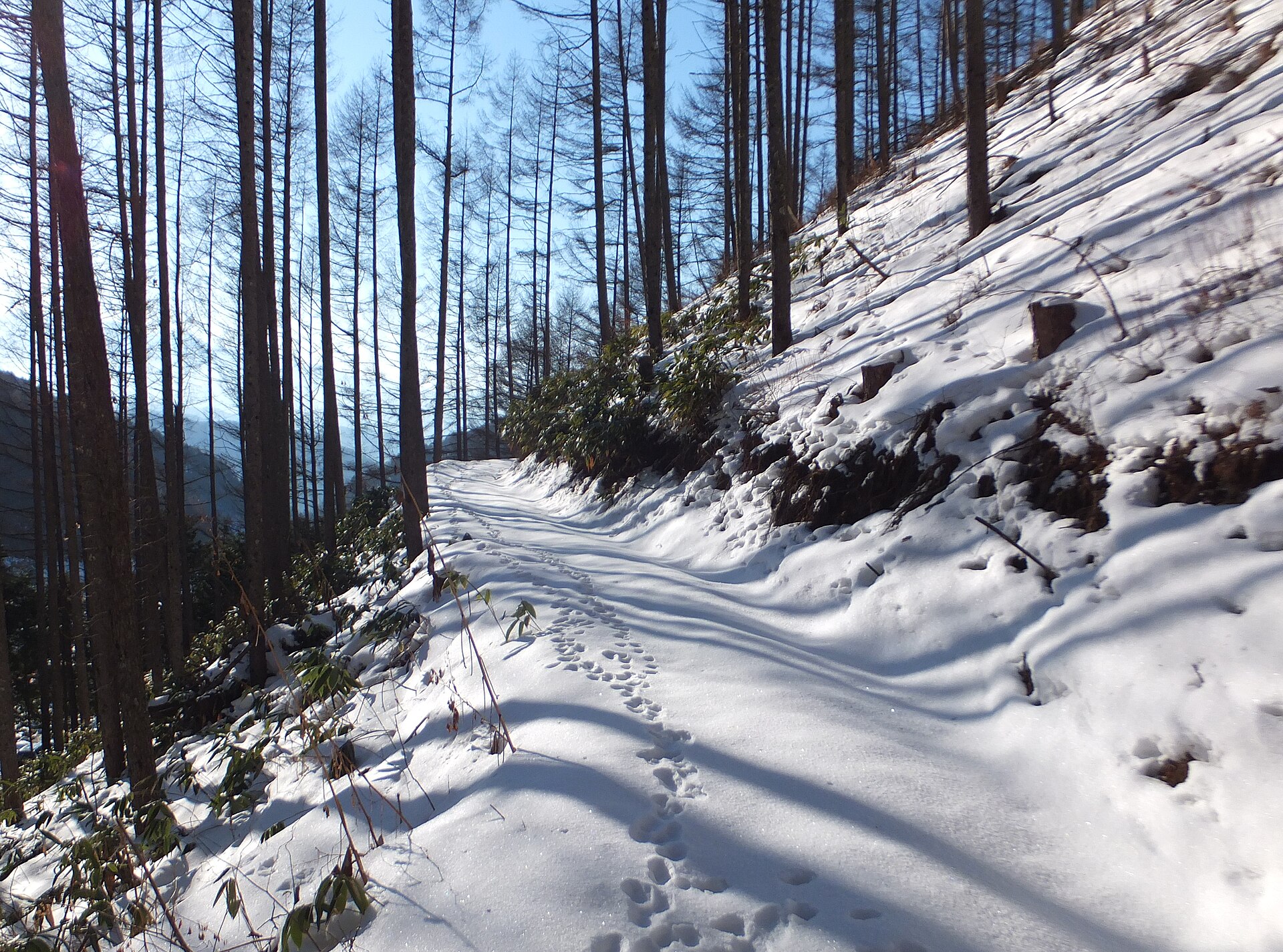Kisofukushima Ski Resort, mountain village in Japan
