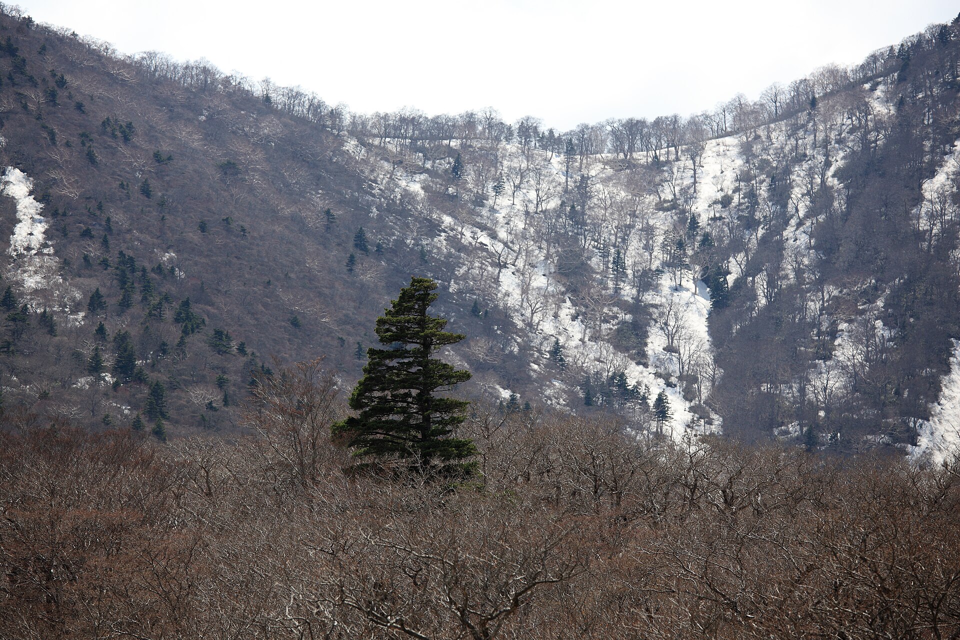 Miyagi Zao Eboshi Resort, mountain village in Japan