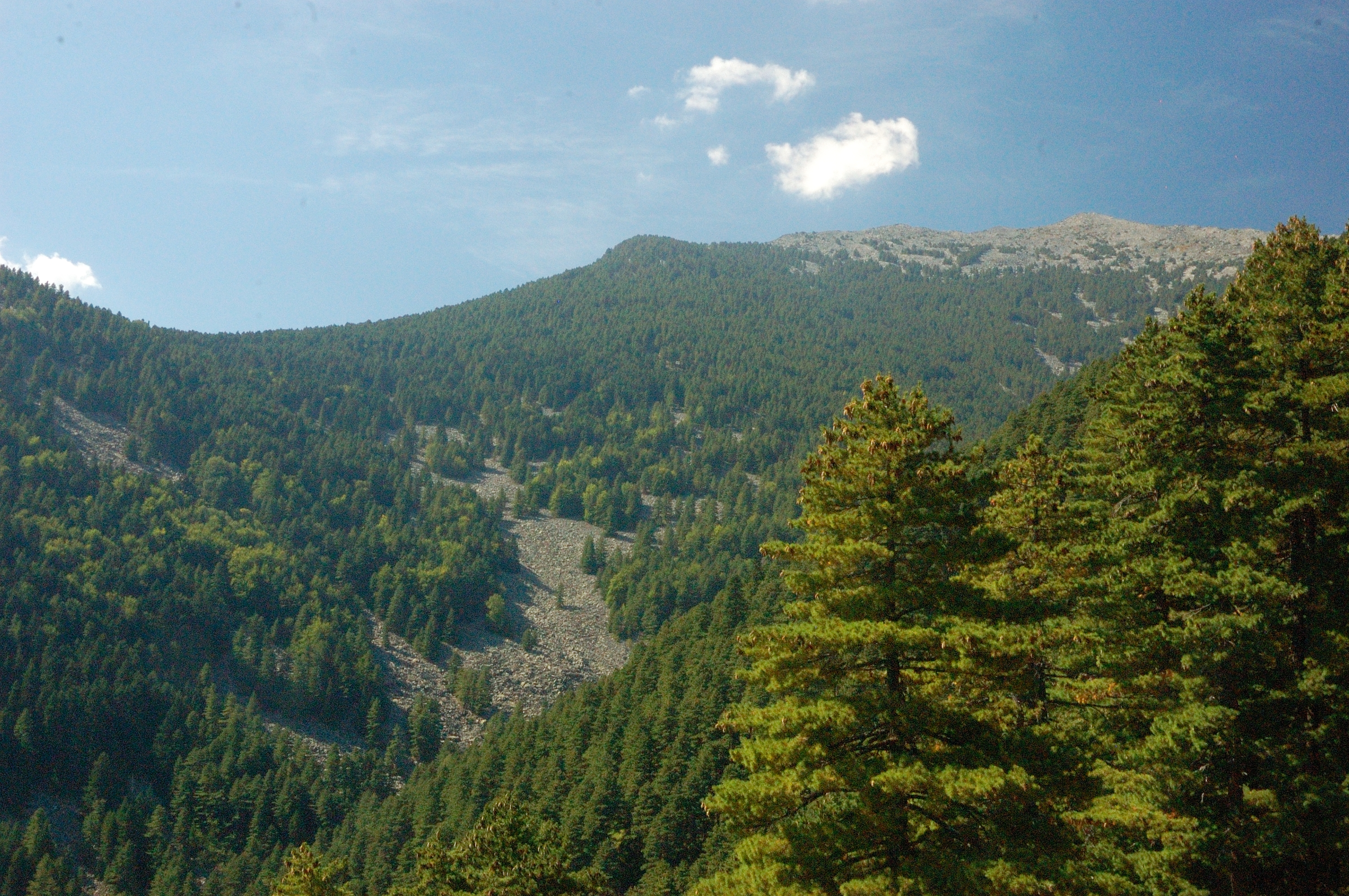 Pelister, mountain village in North Macedonia
