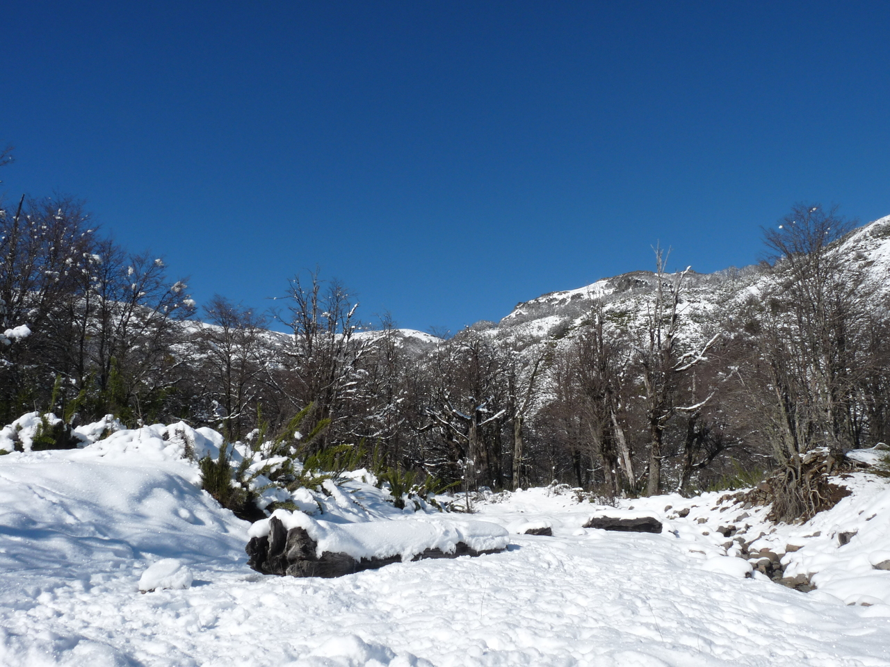 Arroyo Partido Parque de Nieve — Alpine village in Argentina