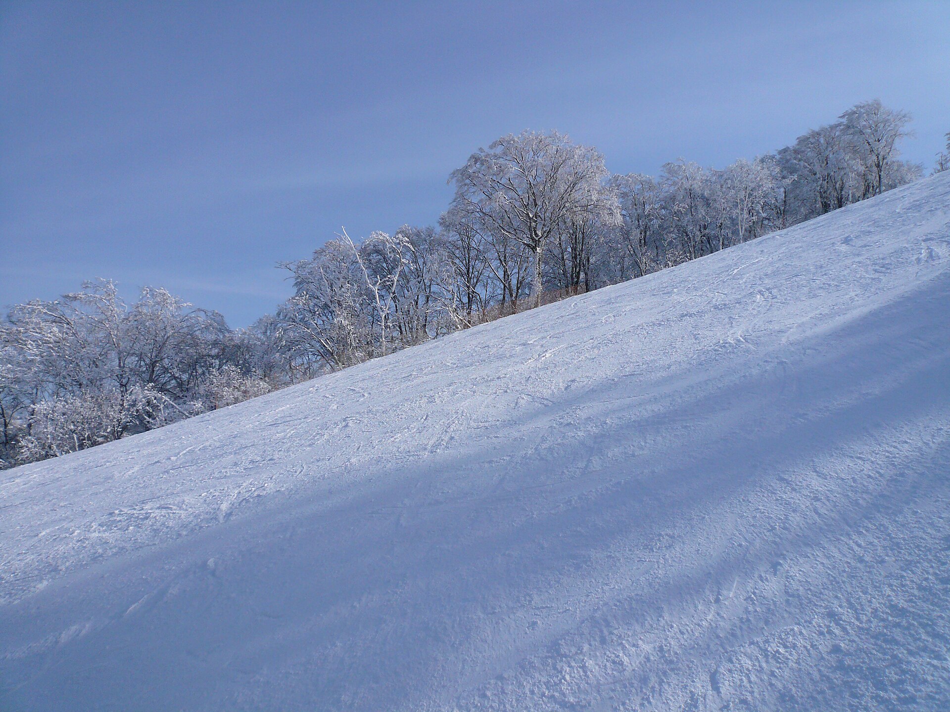 星野リゾート 猫魔スキー場, Hoshino Resorts Nekoma Mountain ski area