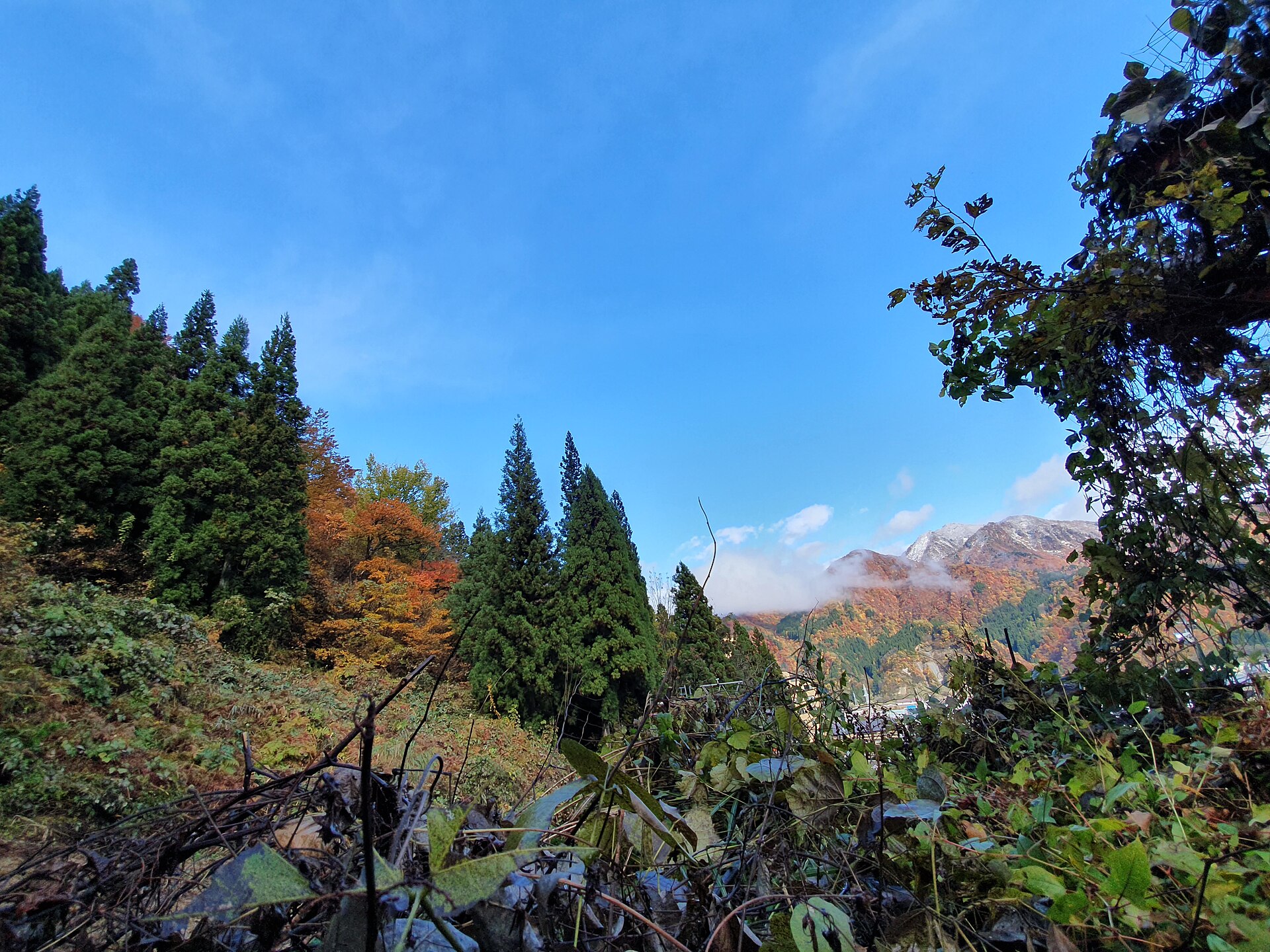 NASPA Ski Garden — Alpine village in Japan