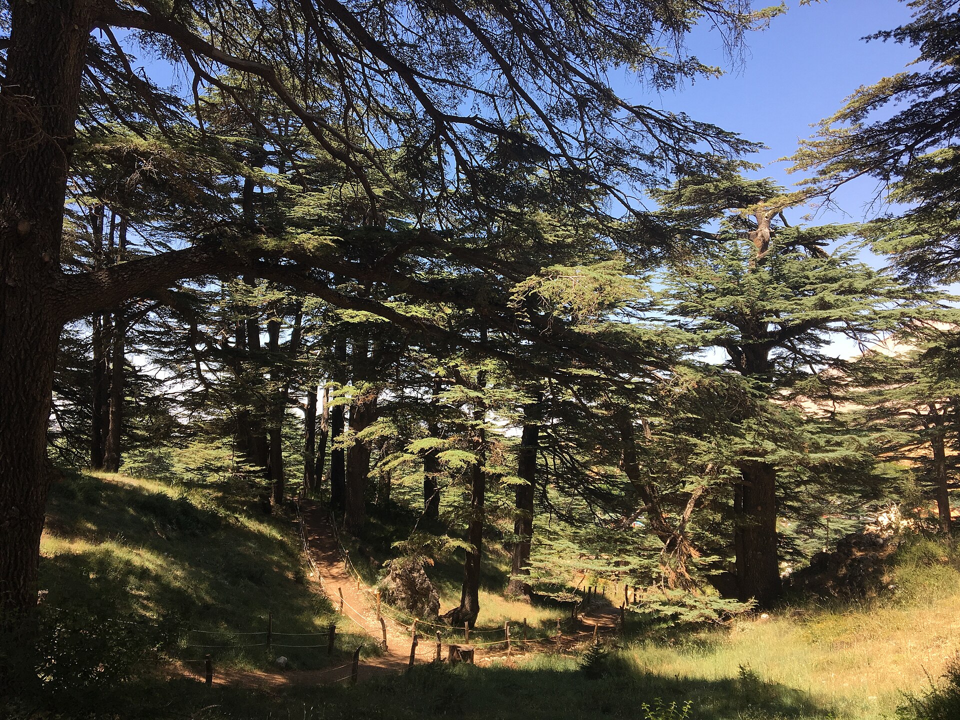 The Cedars Resort, Resort Les Cèdres — Alpine village in Lebanon