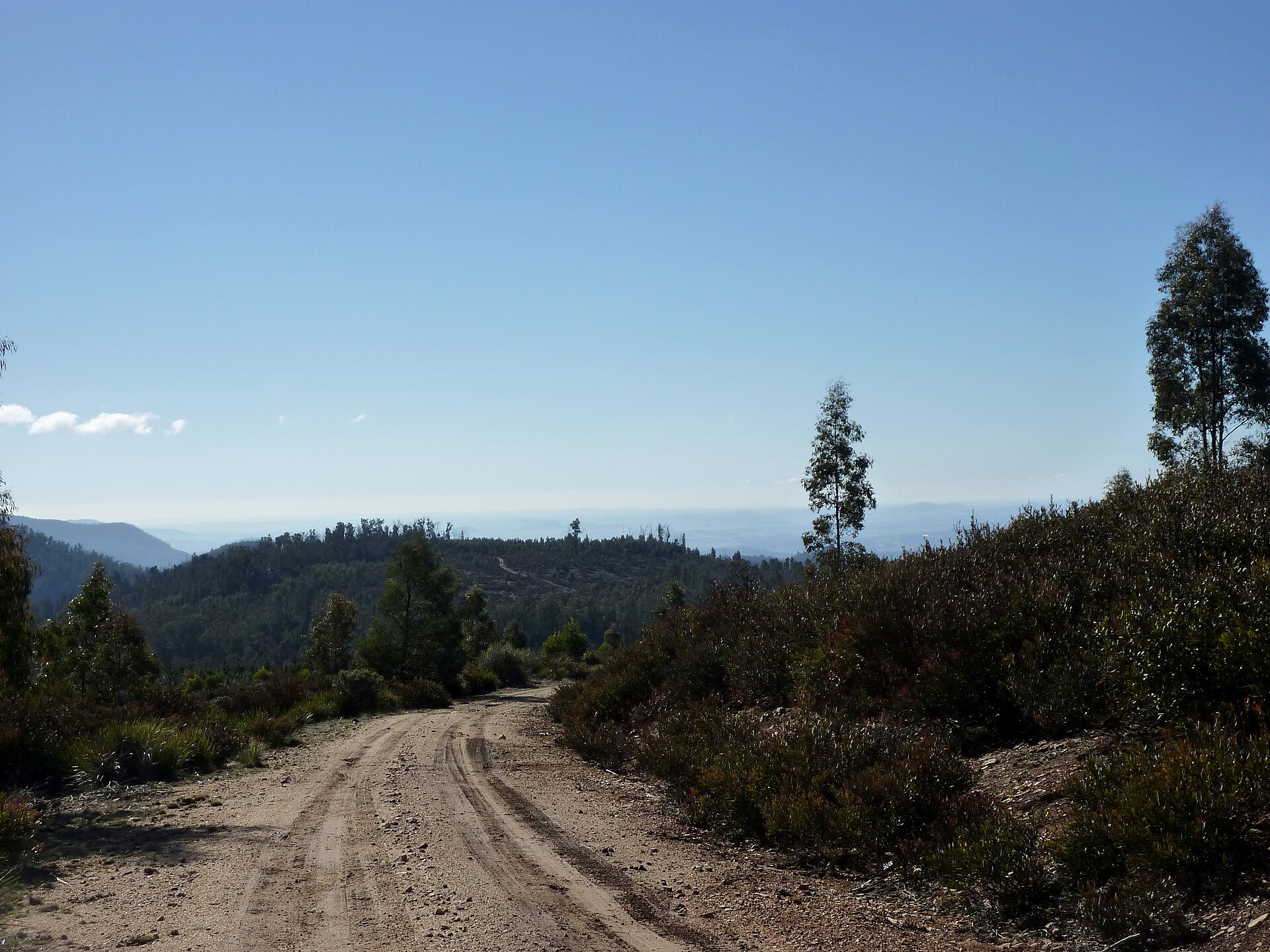 Corin Forest, mountain village in Australia