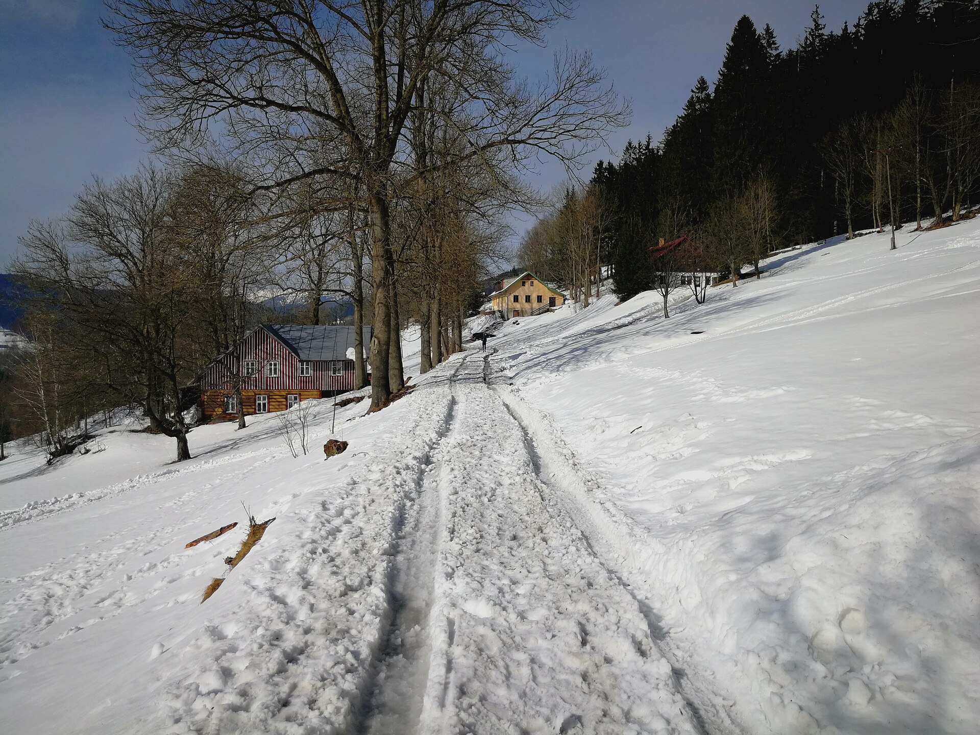 Herlíkovice — Alpine village in Czechia