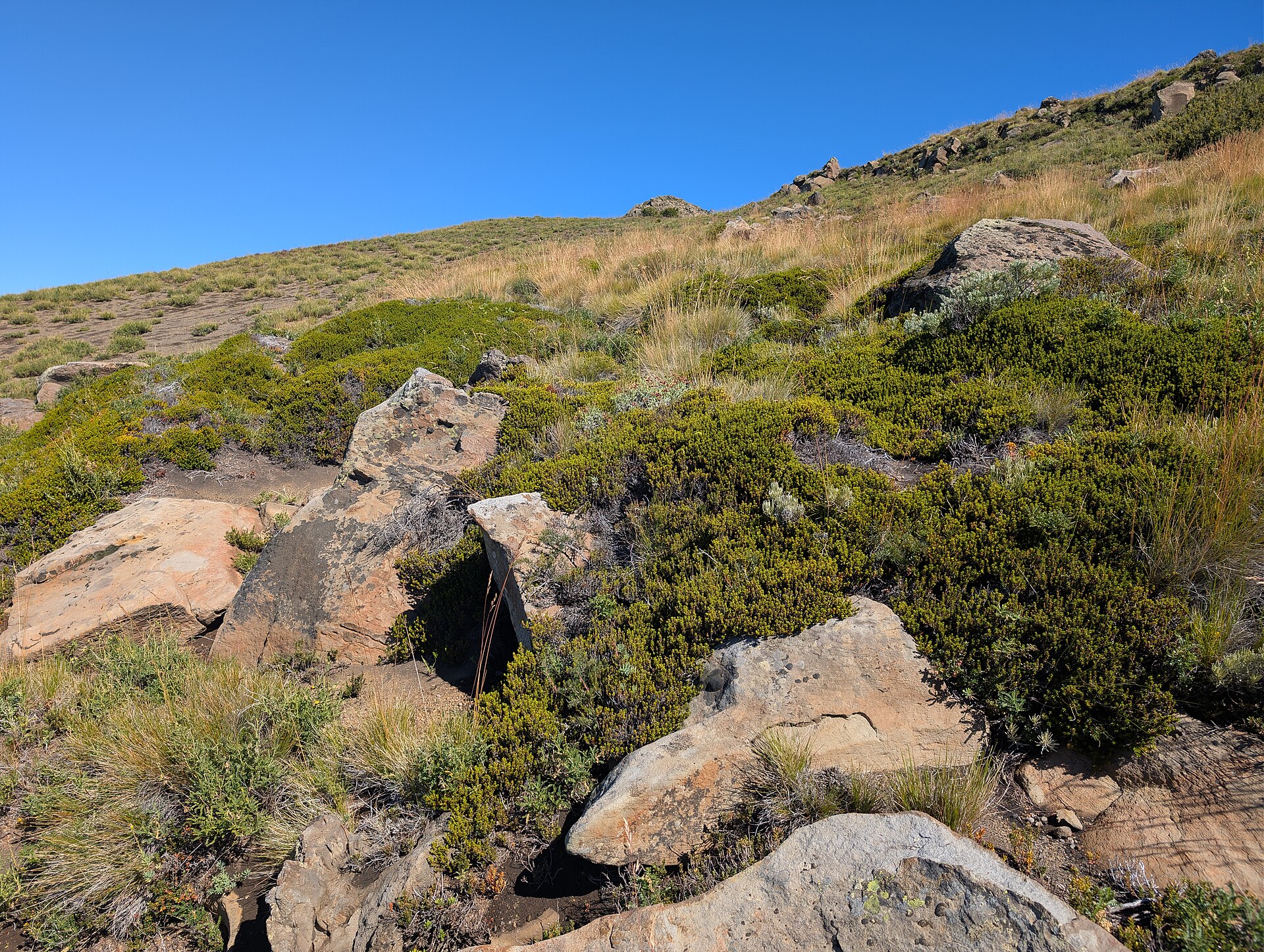 Los Arenales — Alpine village in Chile