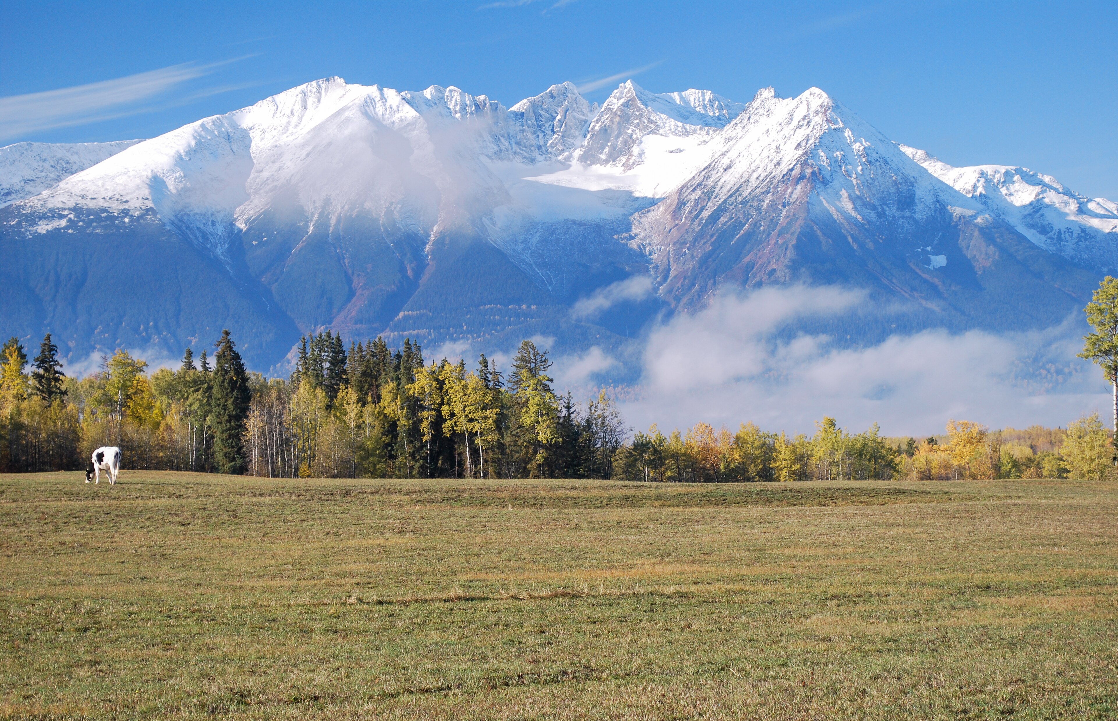 Hudson Bay Mountain ski area