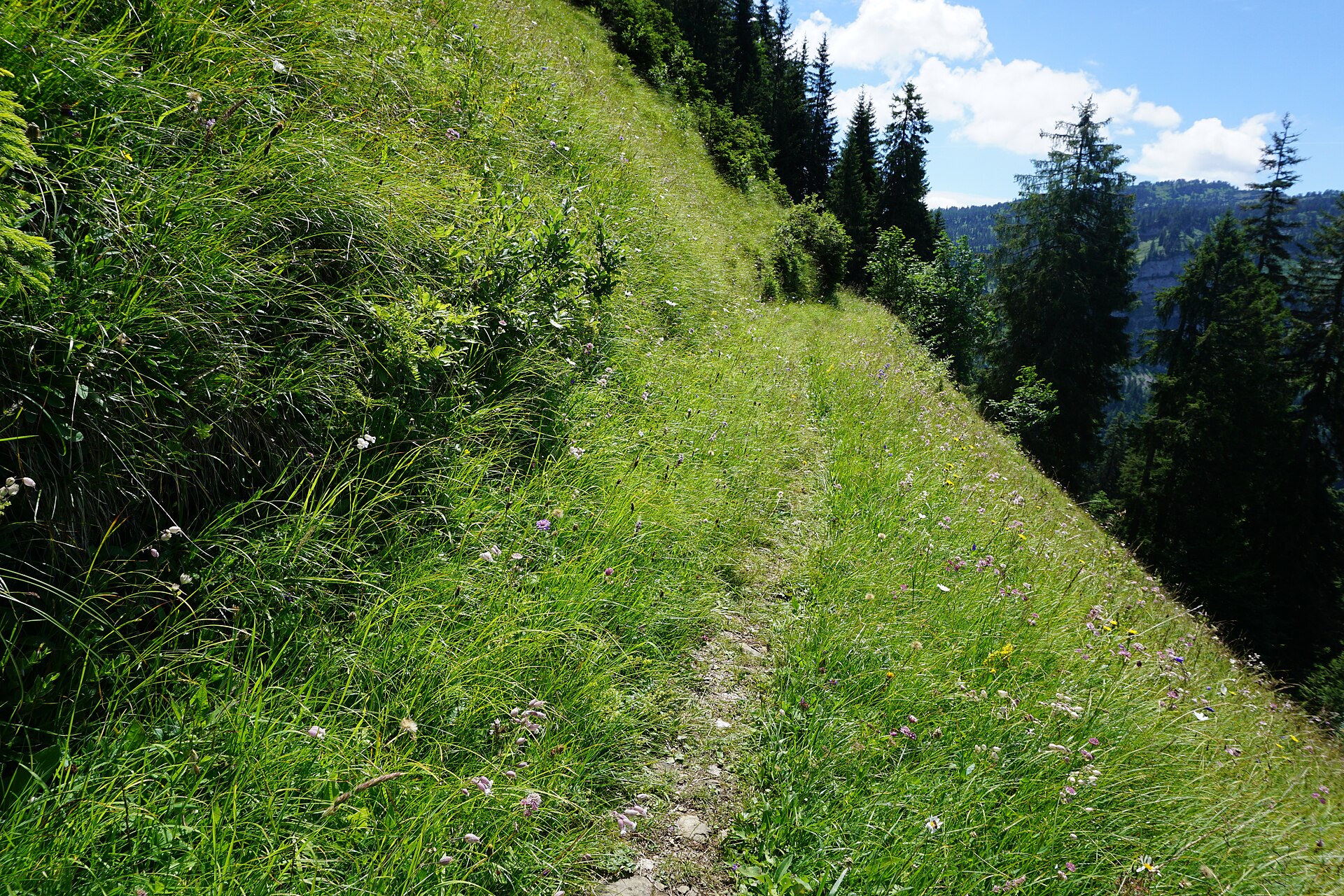 Eriz — Alpine village in Switzerland