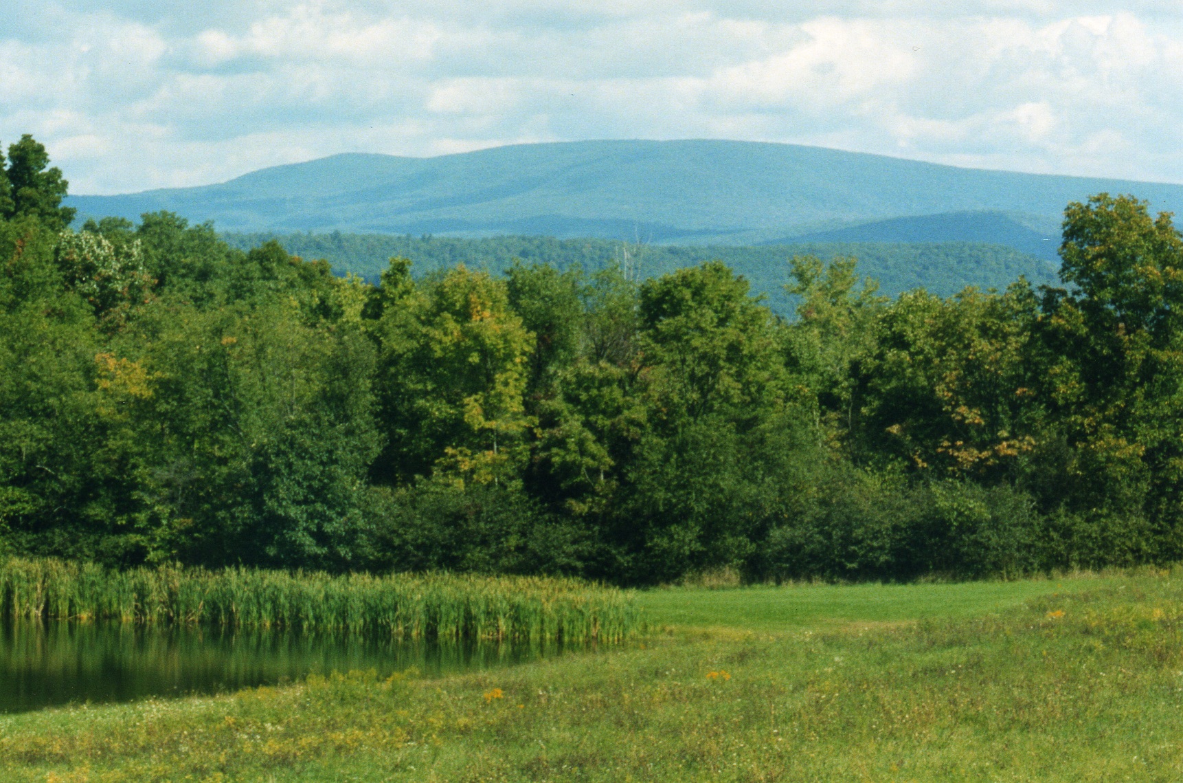 Blue Knob ski area