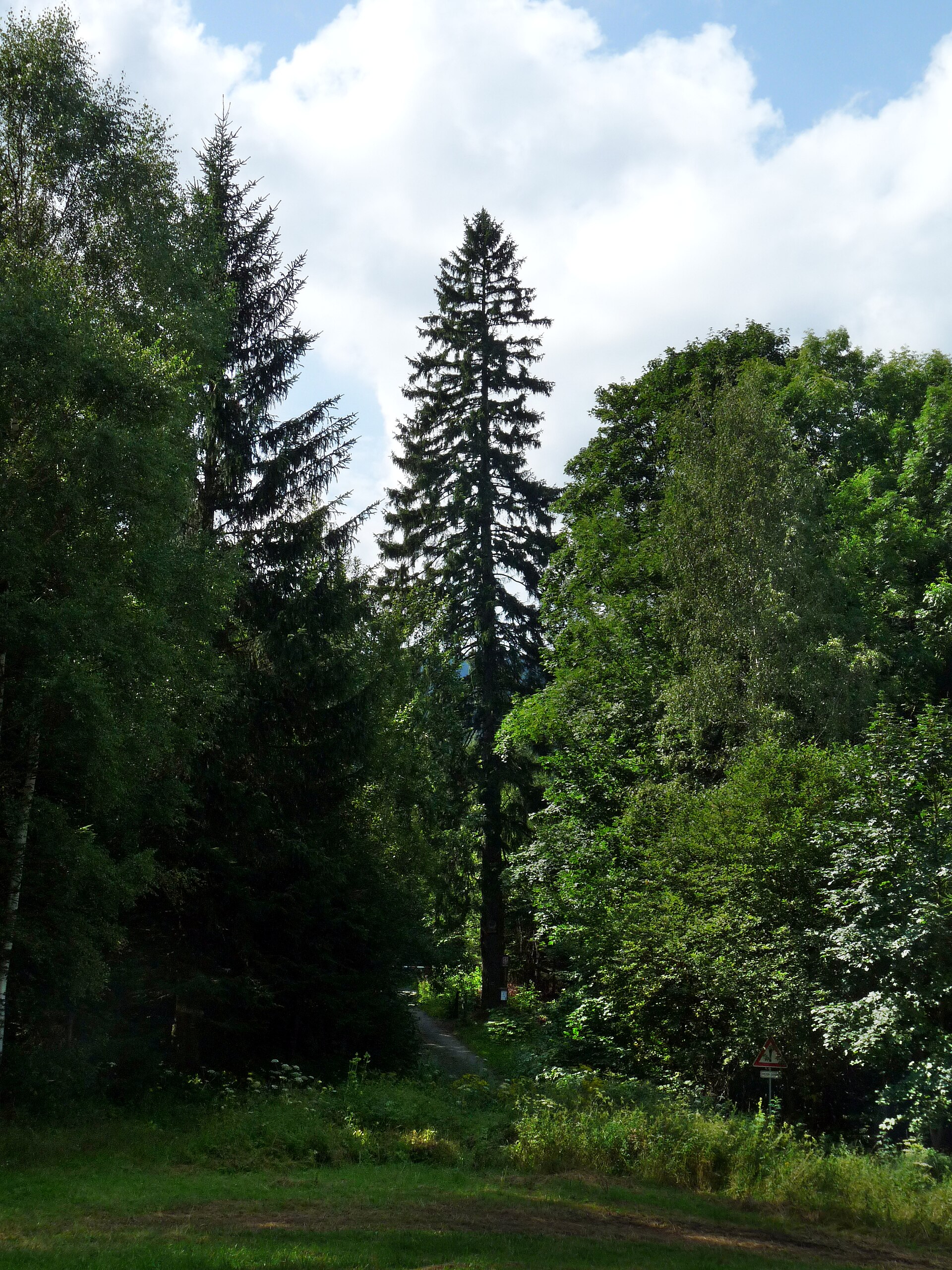 Miroslav, mountain village in Czechia
