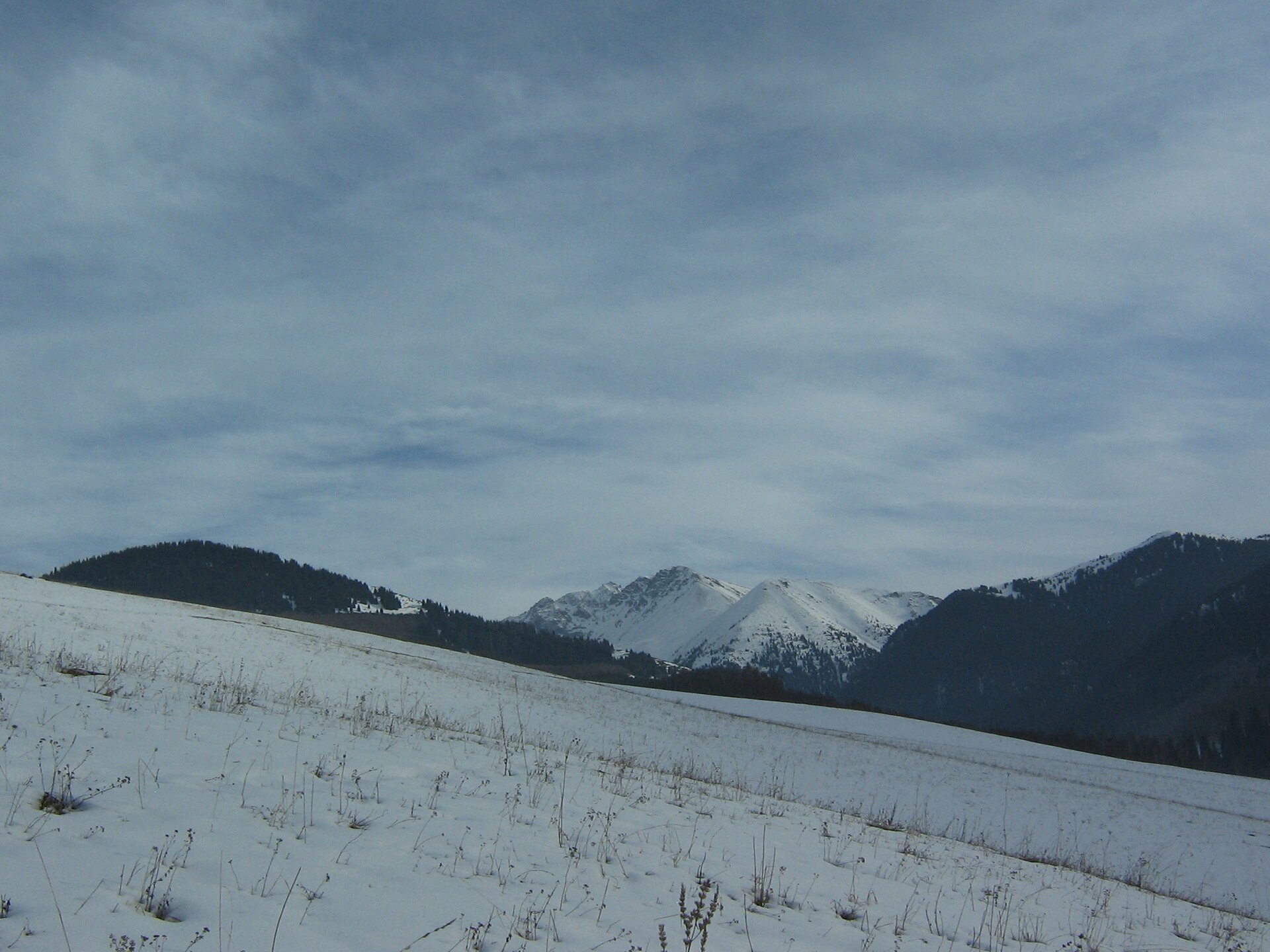 Qarasay District, mountain village in Kazakhstan