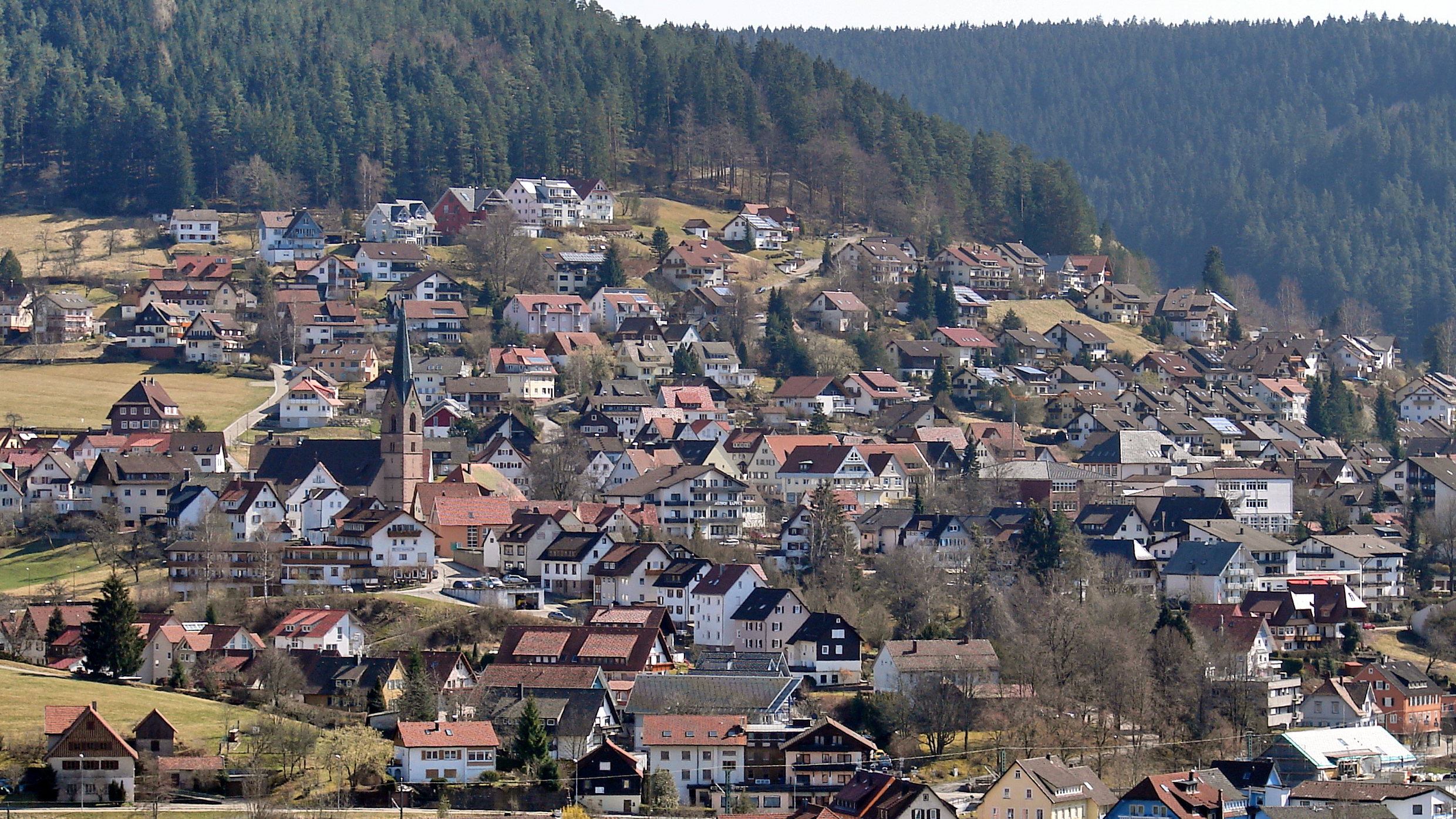 Baiersbronn, mountain village in Germany
