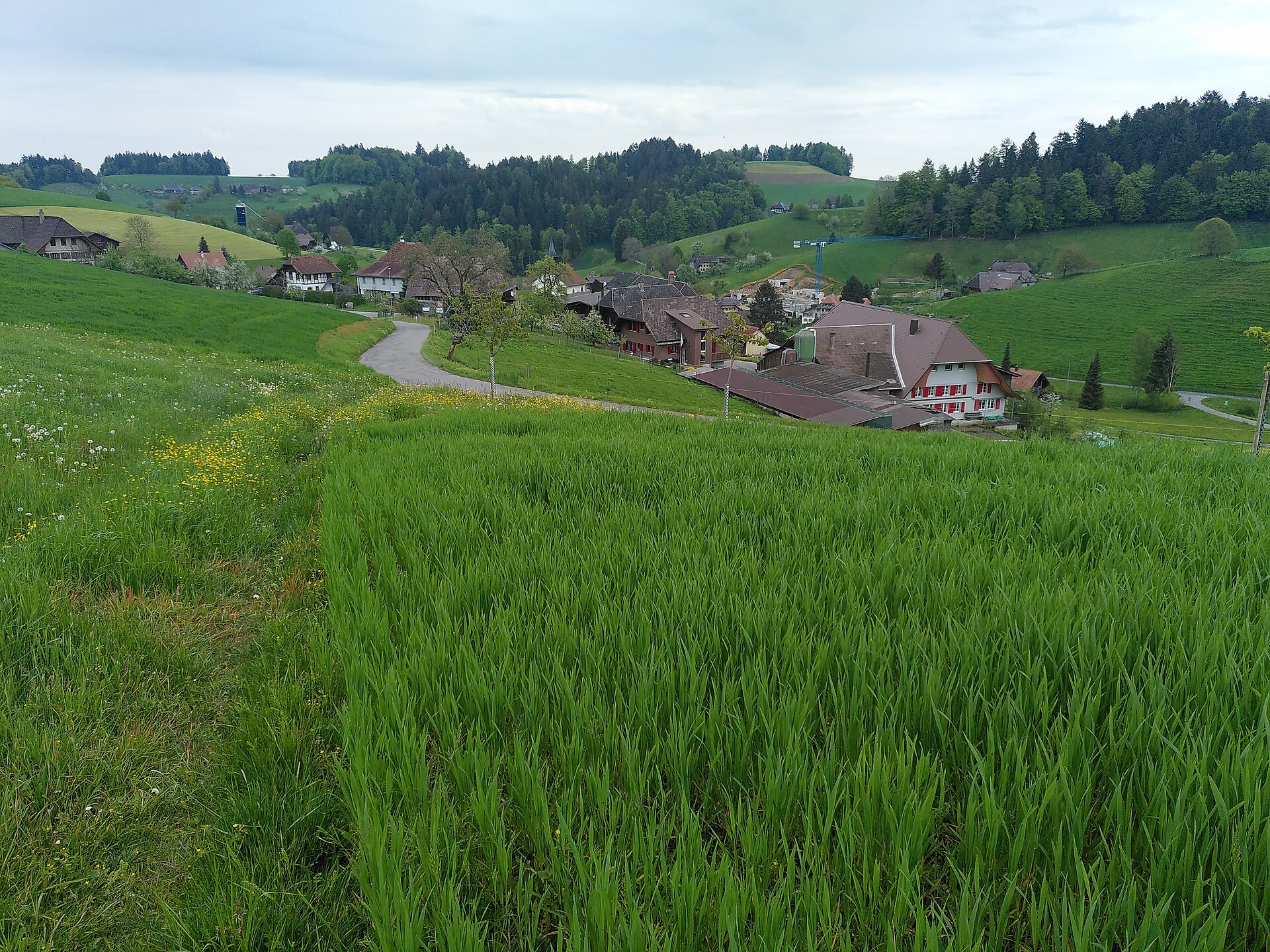 Walterswil — Alpine village in Switzerland