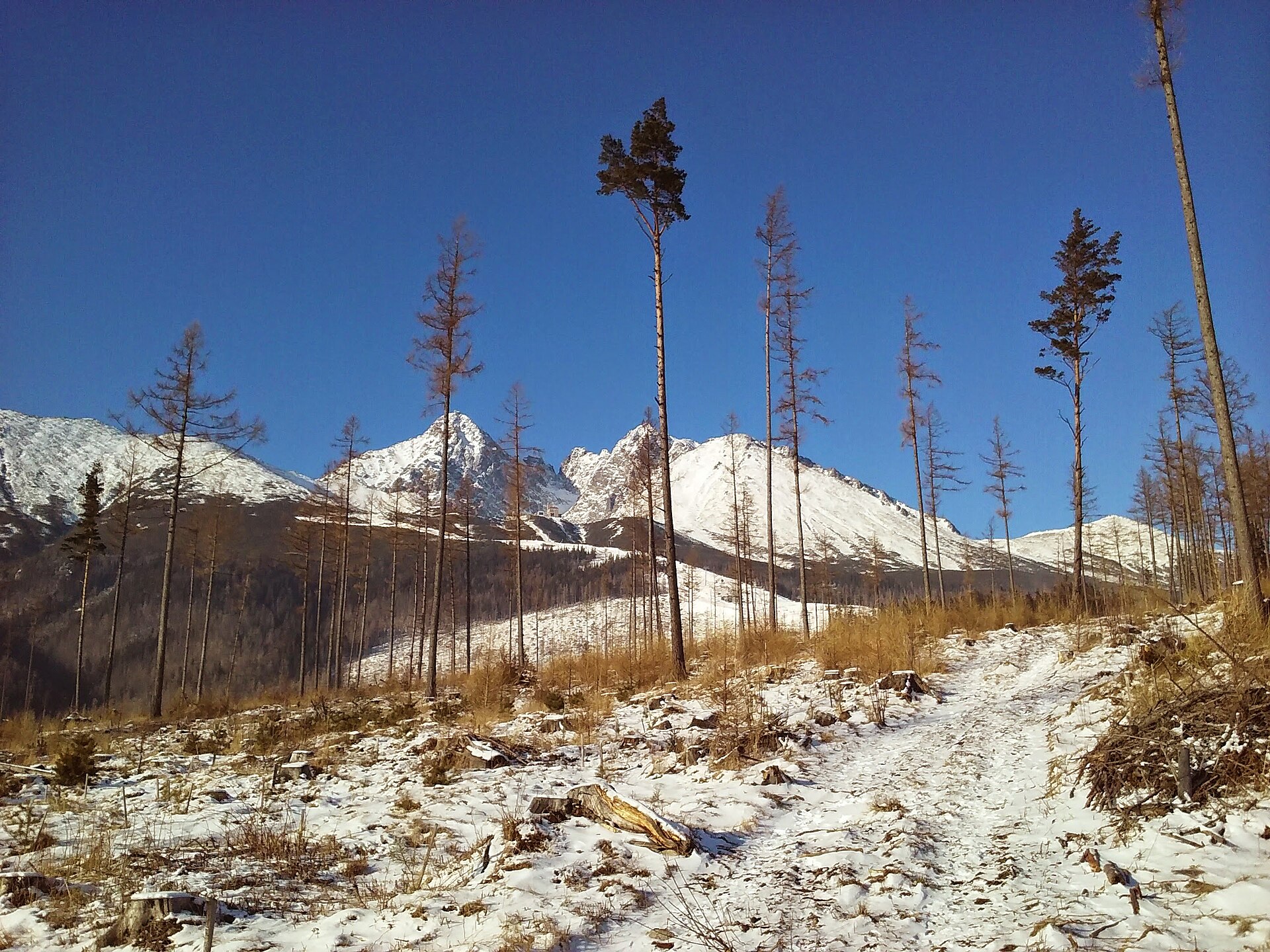 Vysoké Tatry - Tatranská Lomnica — Alpine village in Slovakia