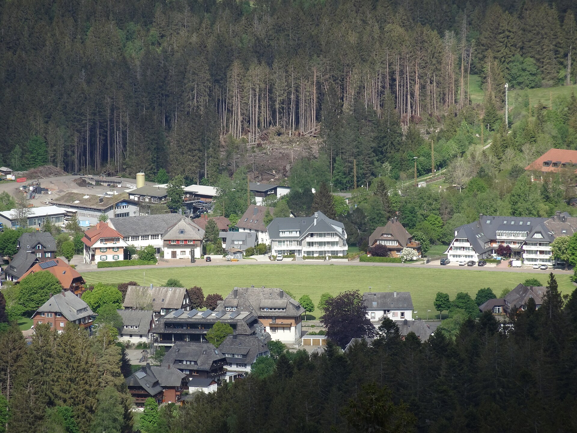 Skizentrum Windeck Hinterzarten — Alpine village in Germany