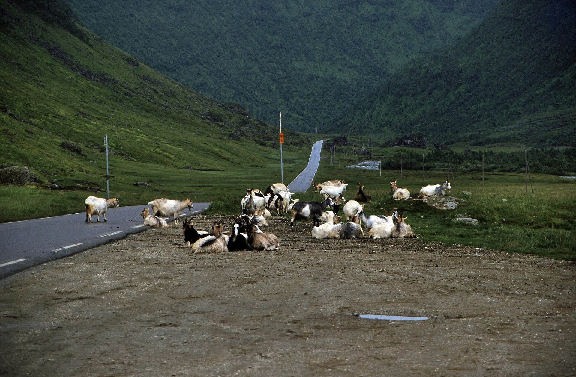 Myrkdalen, mountain village in Norway