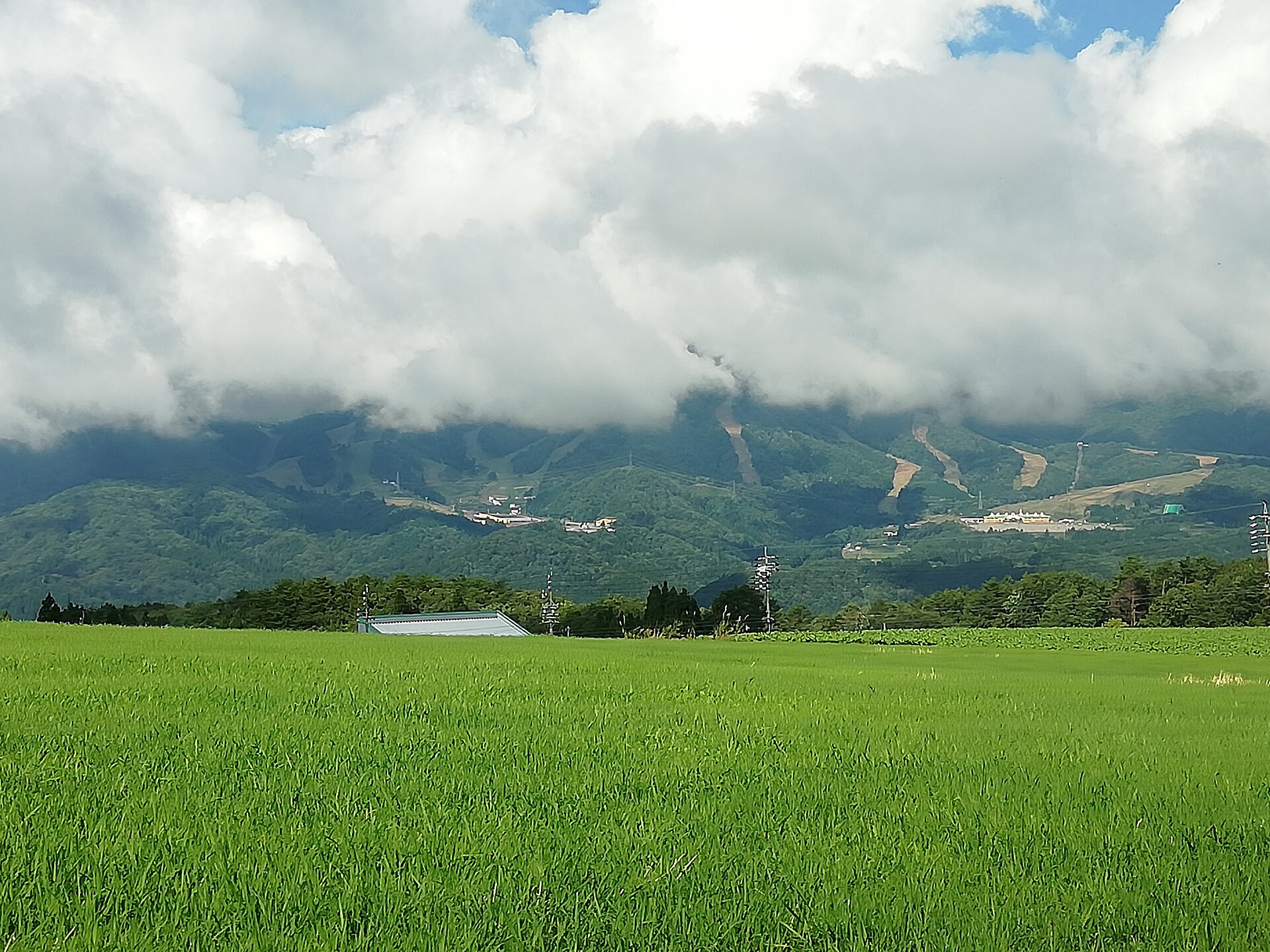 ホワイトピアたかす, WhitePIA Takasu ski area