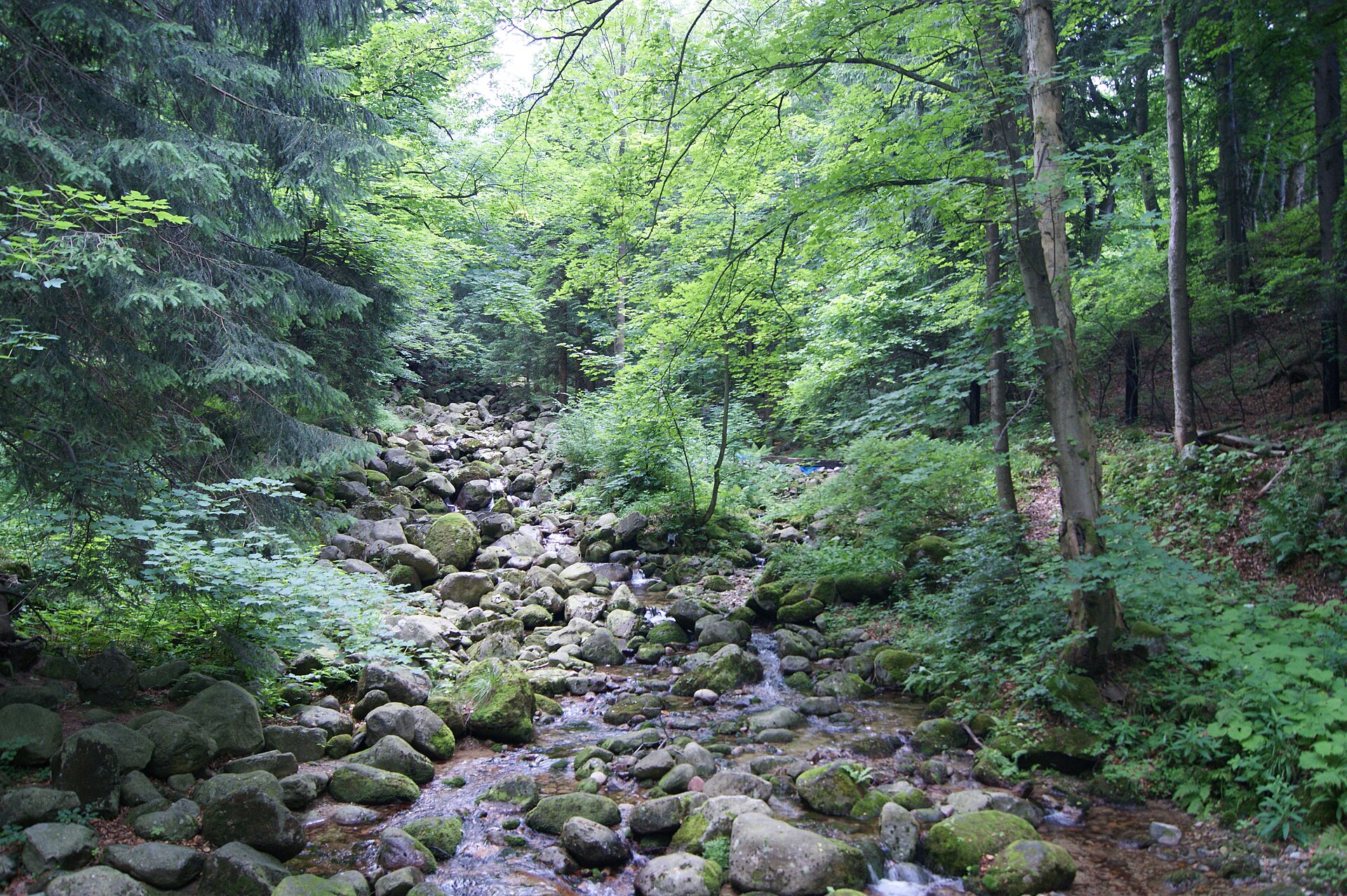 Stok Relaks — Alpine village in Poland