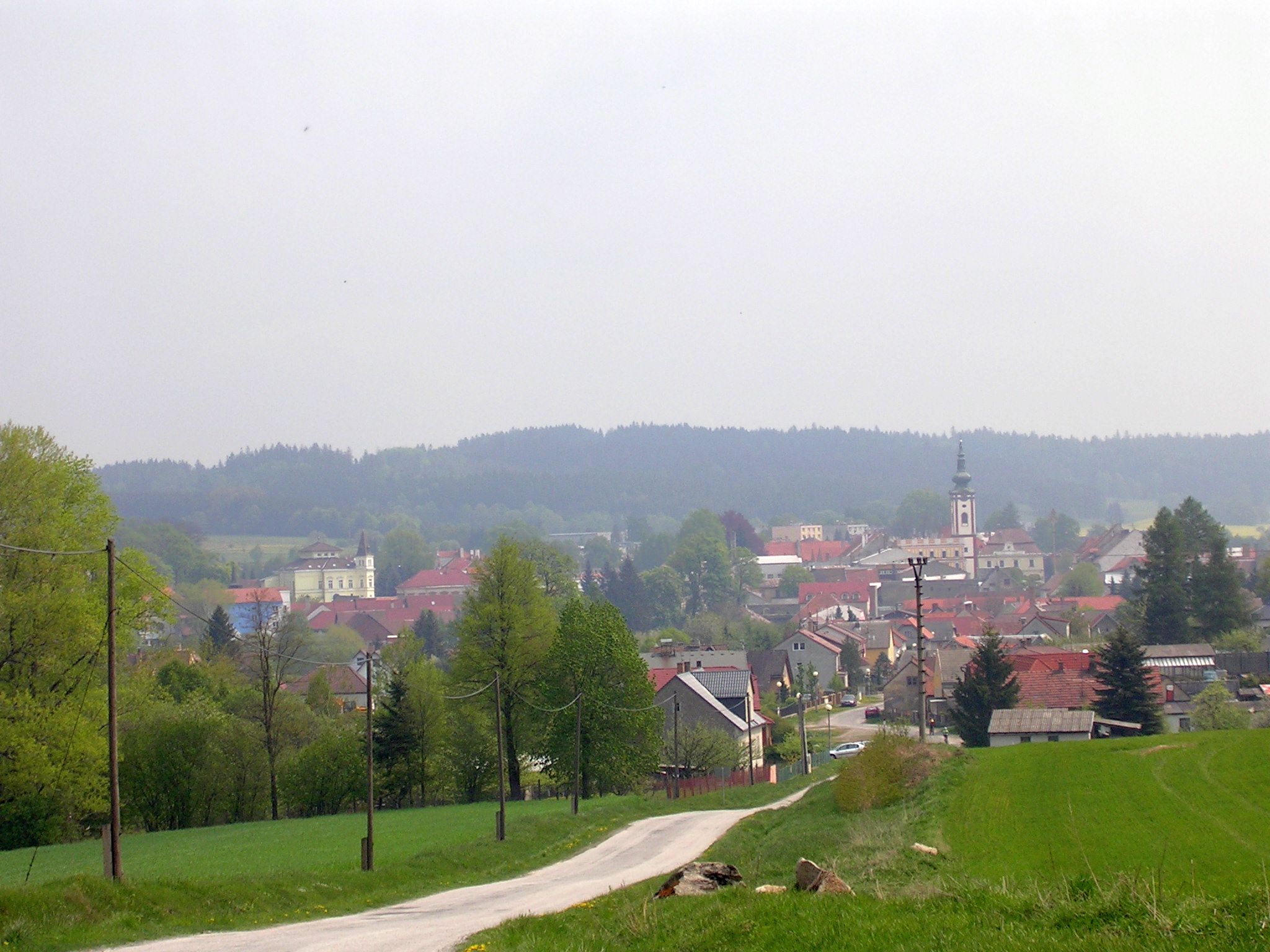Nová Bystřice — Alpine village in Czechia