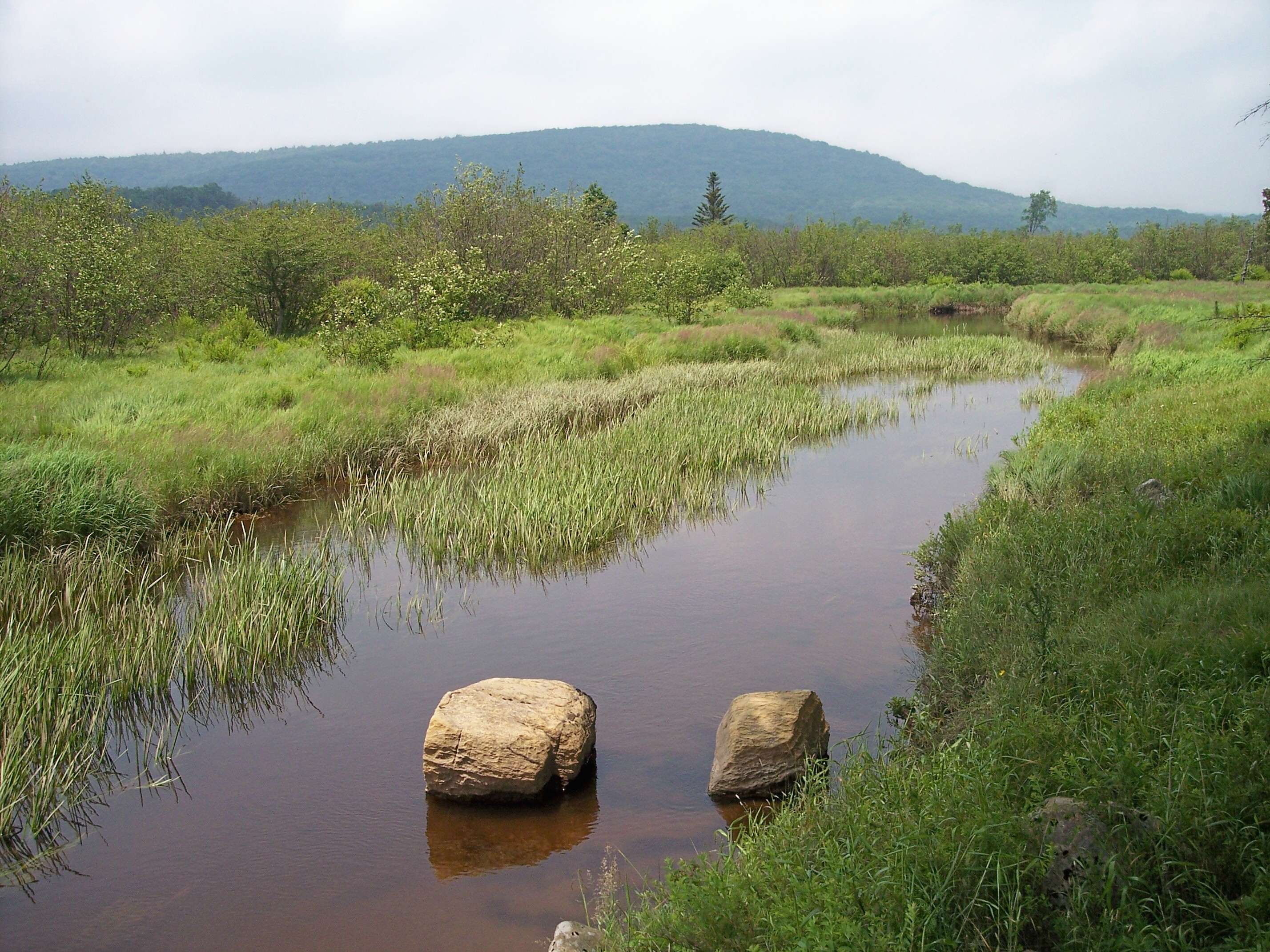 Canaan Valley Resort, mountain village in United States