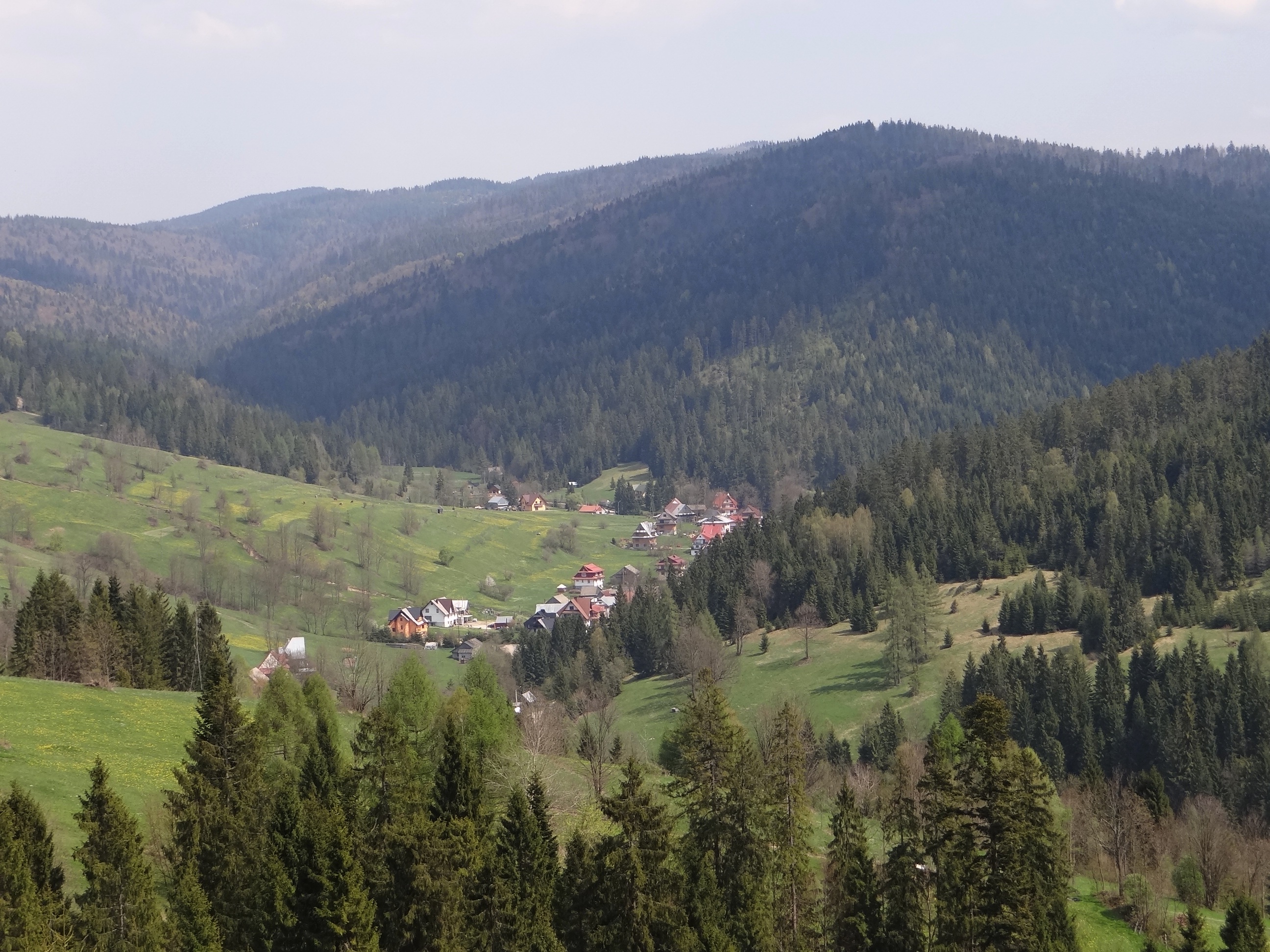 Obidowa — Alpine village in Poland