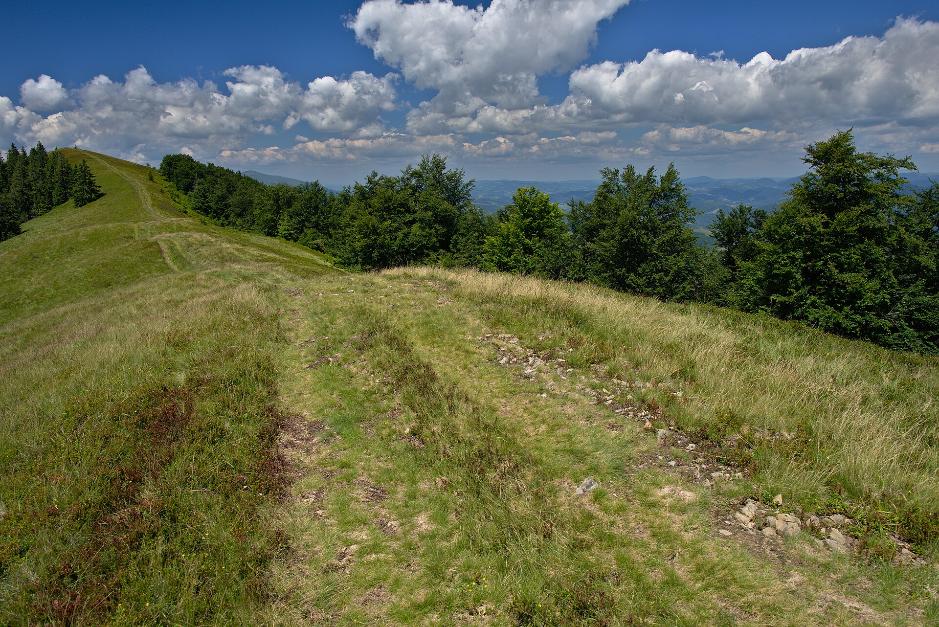 Makovitsya, mountain village in Ukraine