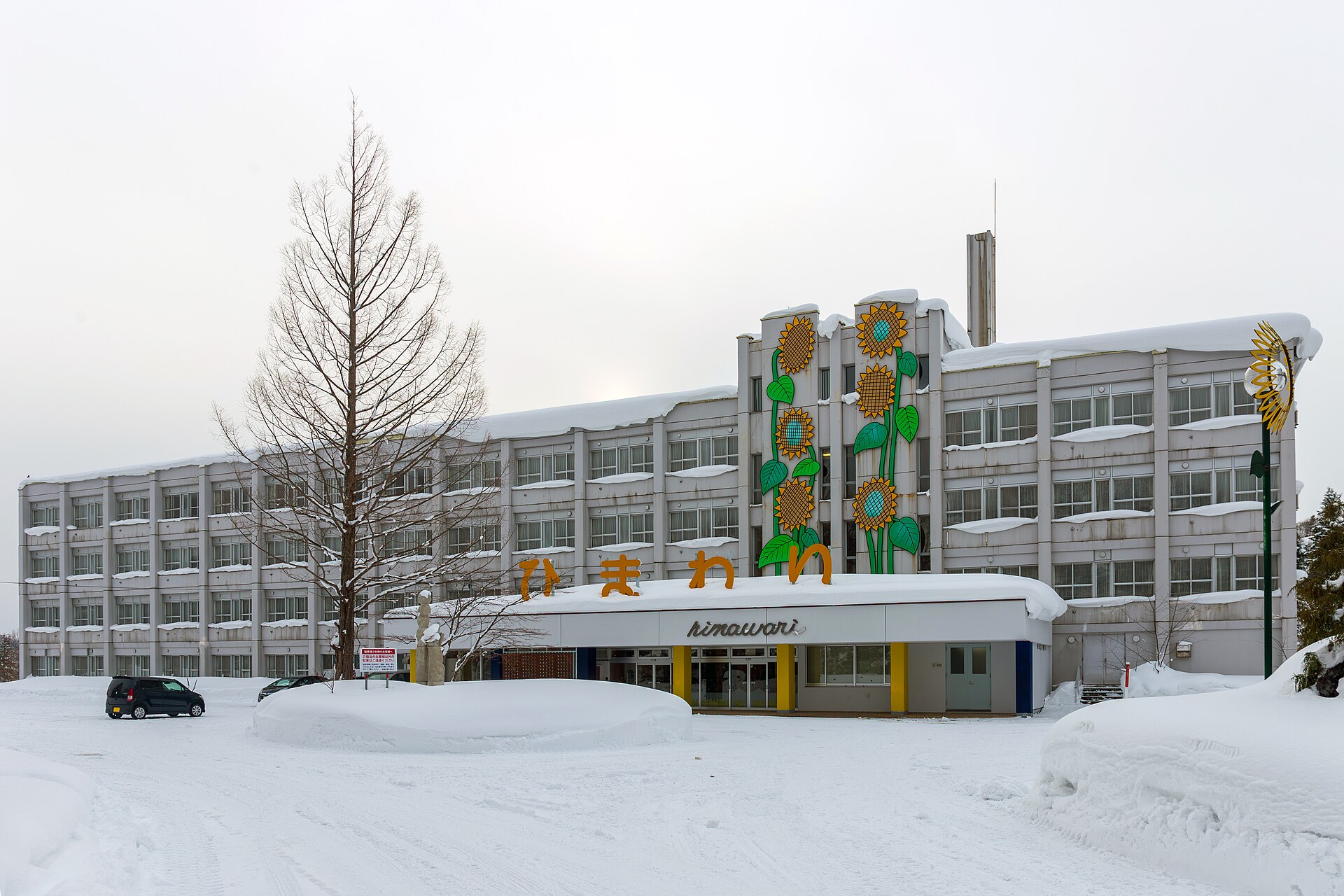 マウントレースイスキー場, Mount Racey ski area