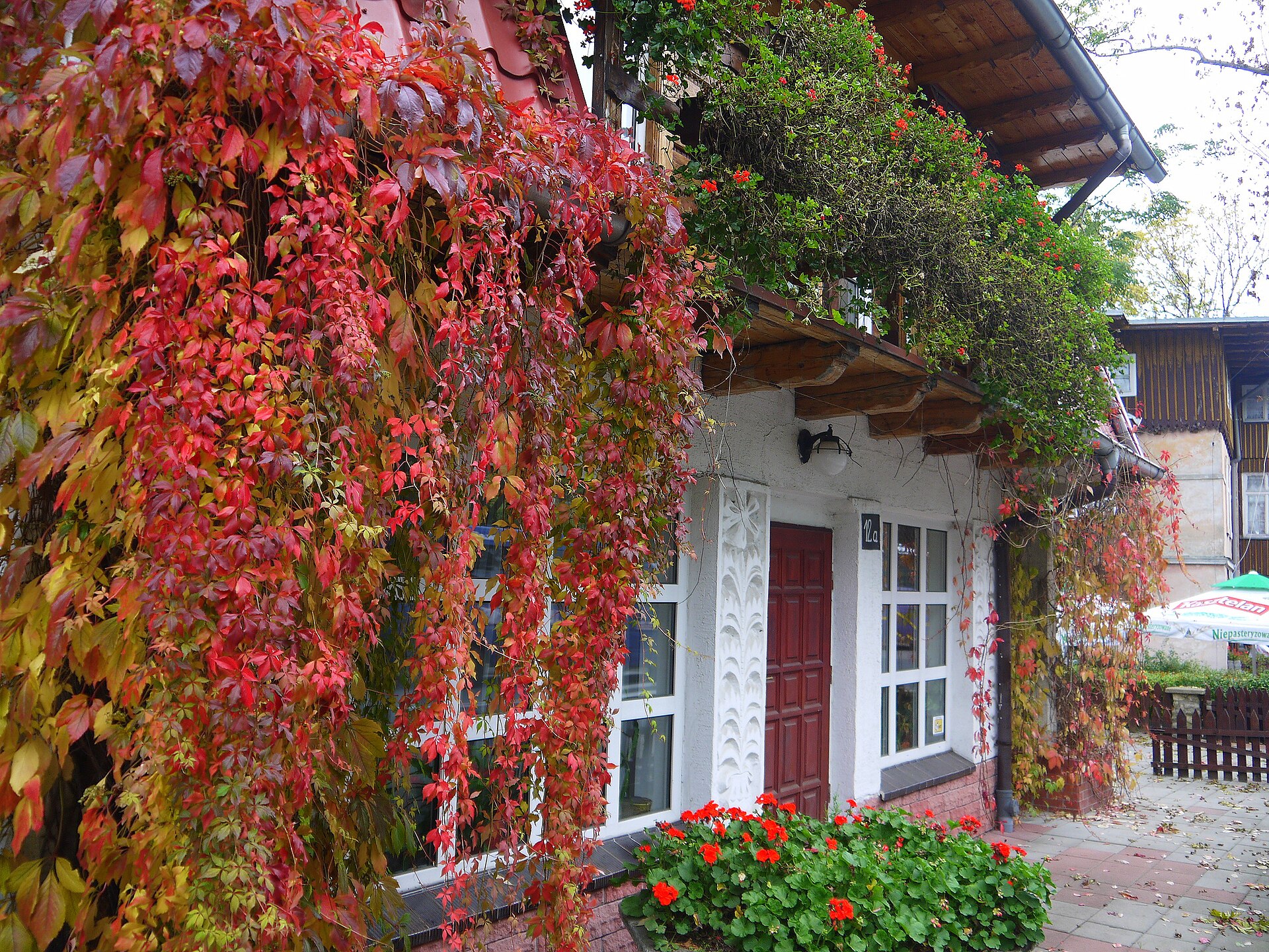 Kompleks narciarski Winterpol w Karpaczu — Alpine village in Poland