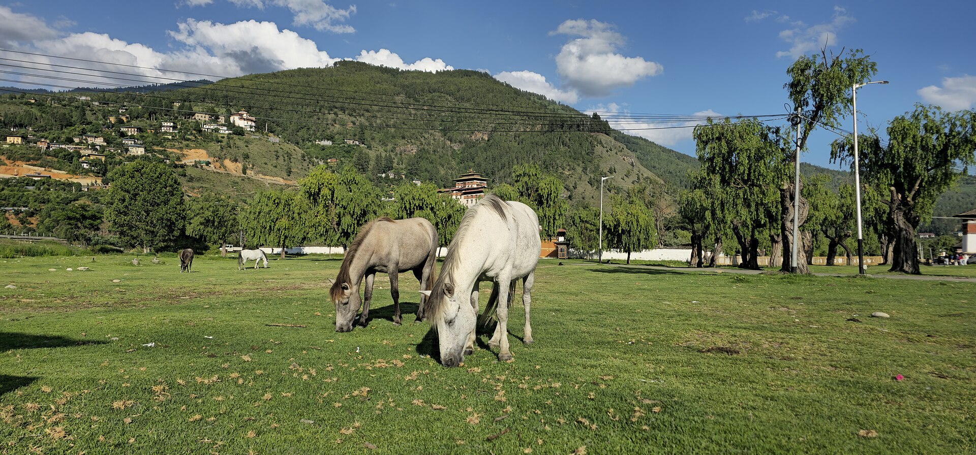 Paro, mountain village in Bhutan