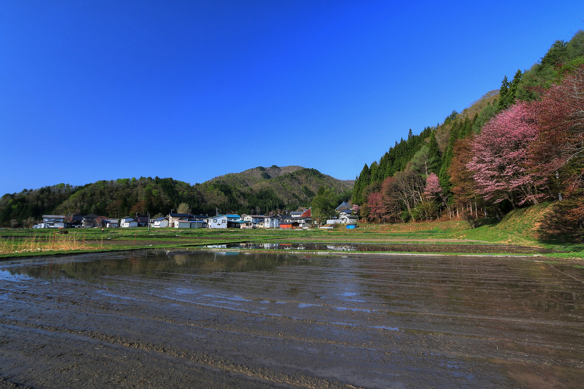 鹿島槍スキー場, Kashimayari Snow Resort ski area