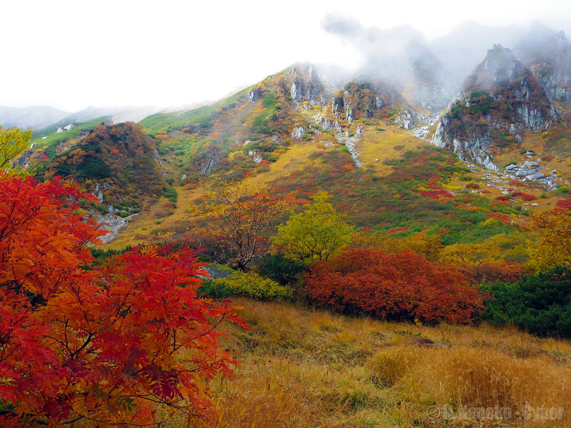 Senjojiki (千畳敷スキー場), mountain village in Japan