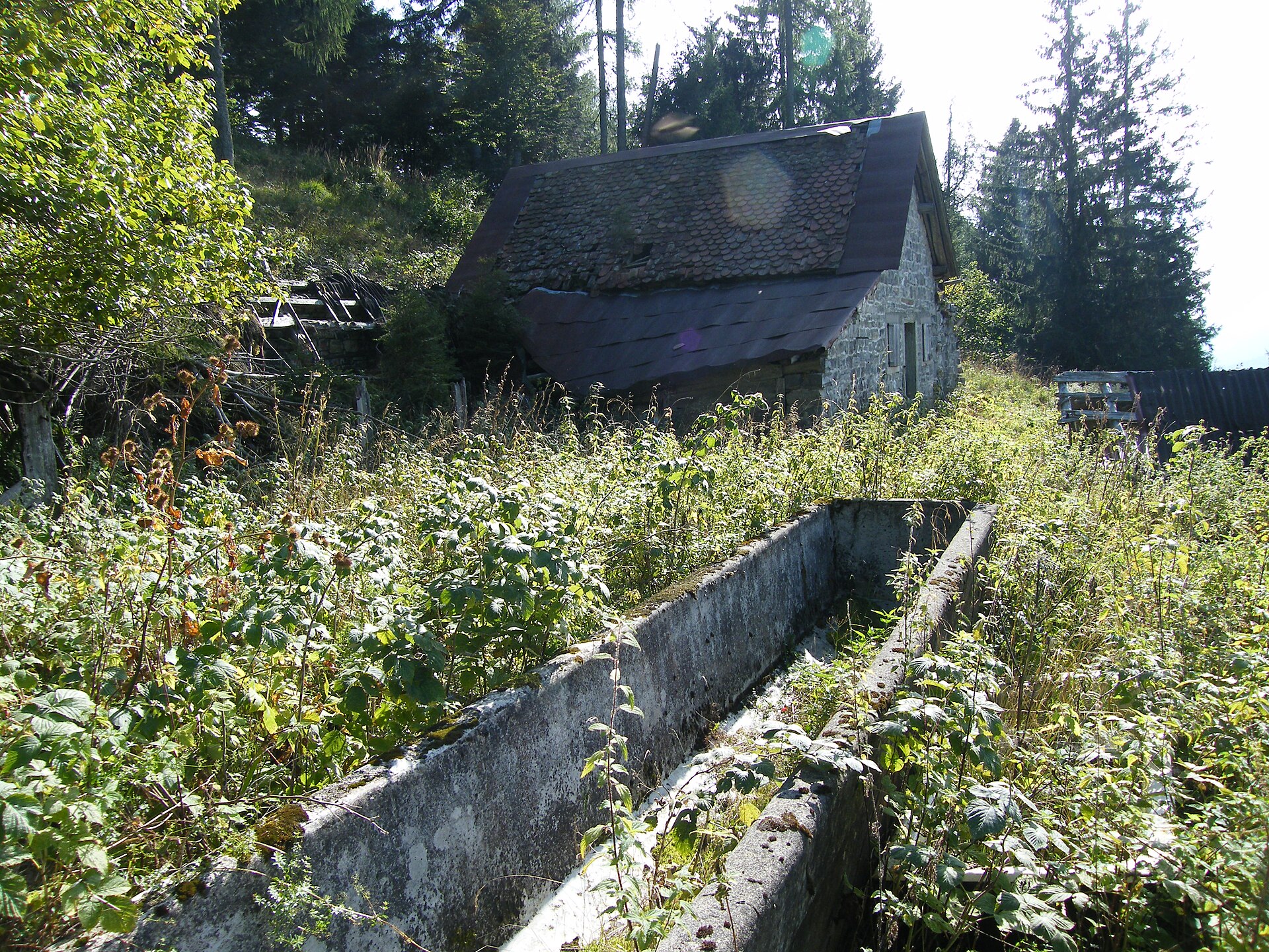 Lauco — Alpine village in Italy