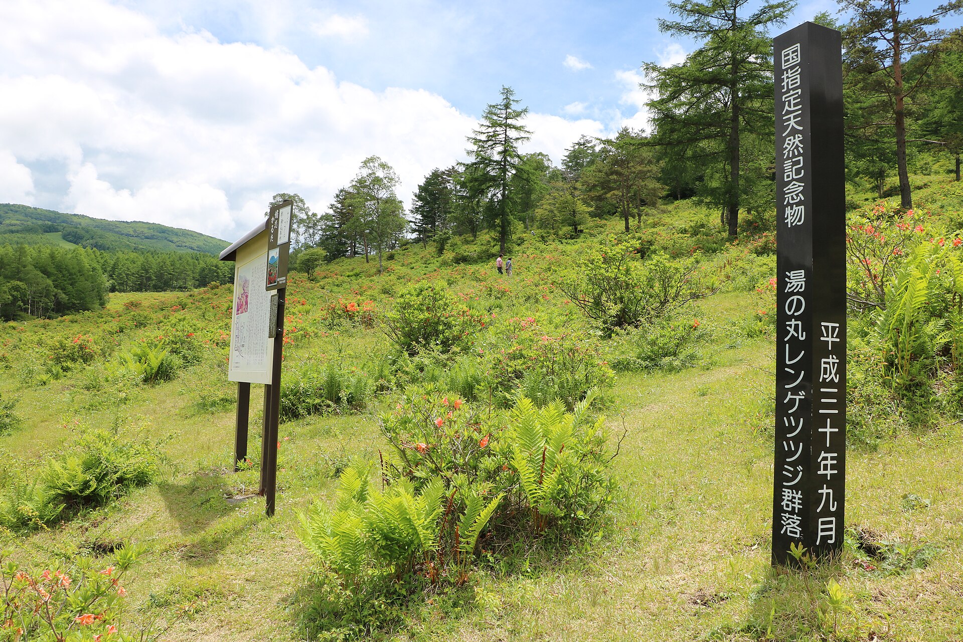 Kazawa Snow Area, mountain village in Japan