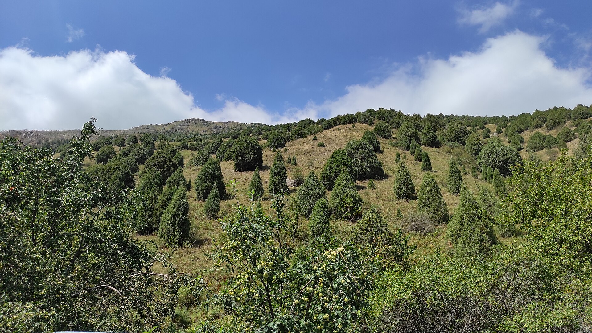 Kashkulak ski resort, mountain village in Kyrgyzstan